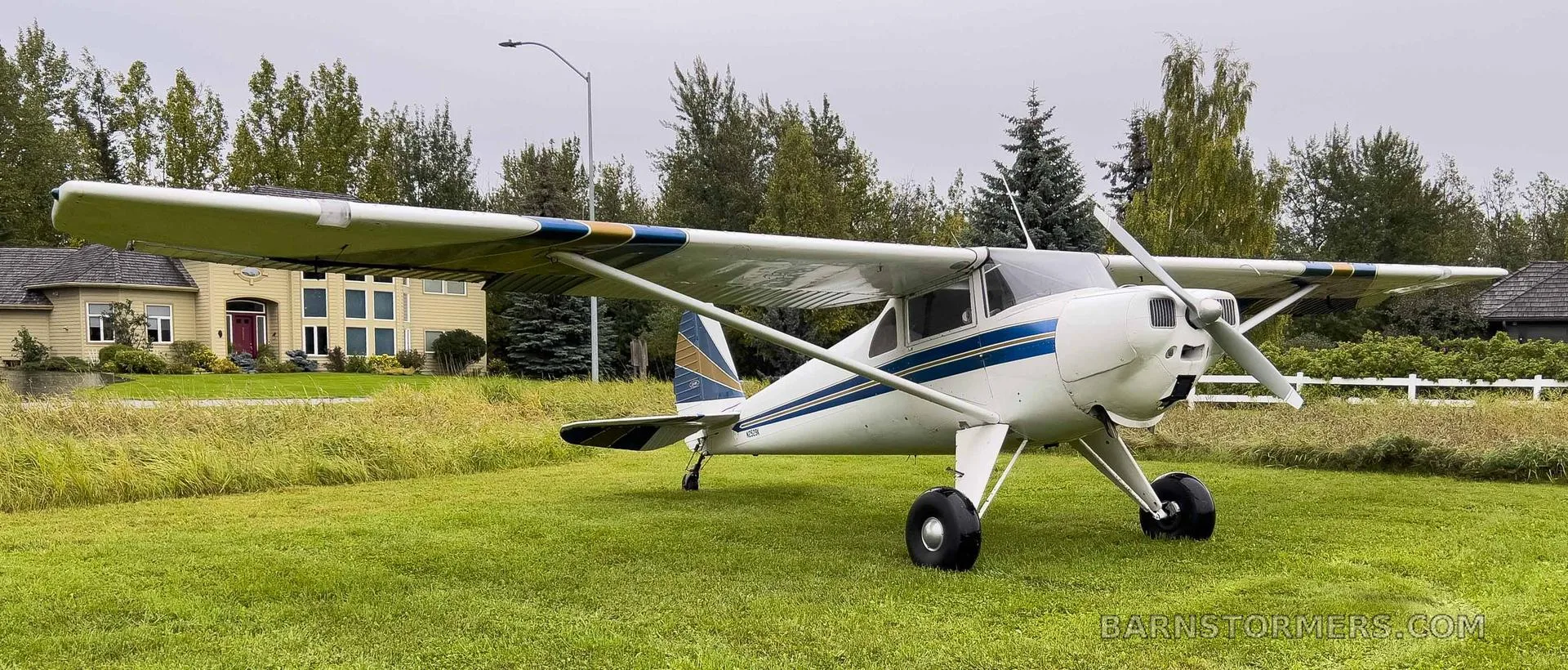 A white high-wing single-engine aircraft with blue and gold stripes parked on a grassy lawn next to a yellow house.