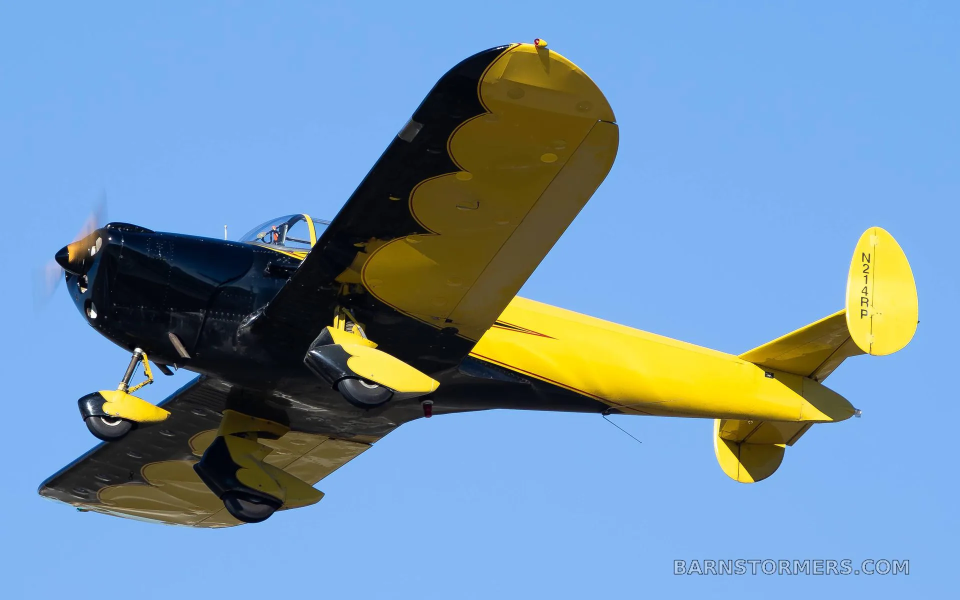 A black and yellow single-engine aircraft with a distinctive scalloped wing design, seen from below and behind, flying against a clear blue sky.