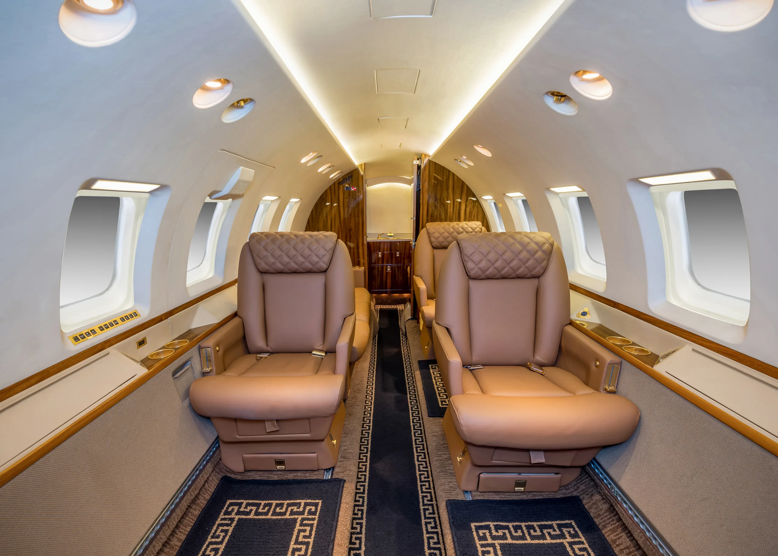 The luxurious interior of a private jet cabin with two rows of tan leather seats and a patterned aisle runner.