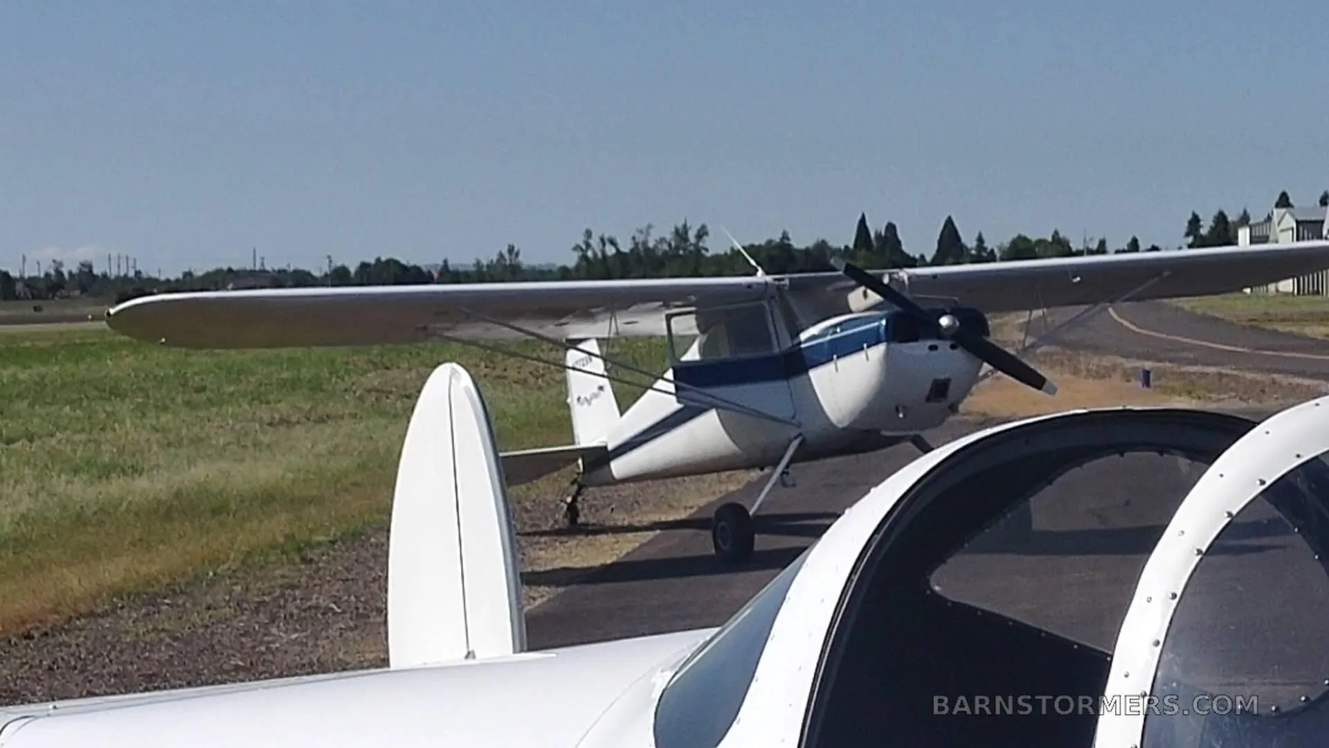 A white and blue taildragger aircraft is seen from the front-right, parked on a tarmac next to grass, with another aircraft's canopy in the foreground.