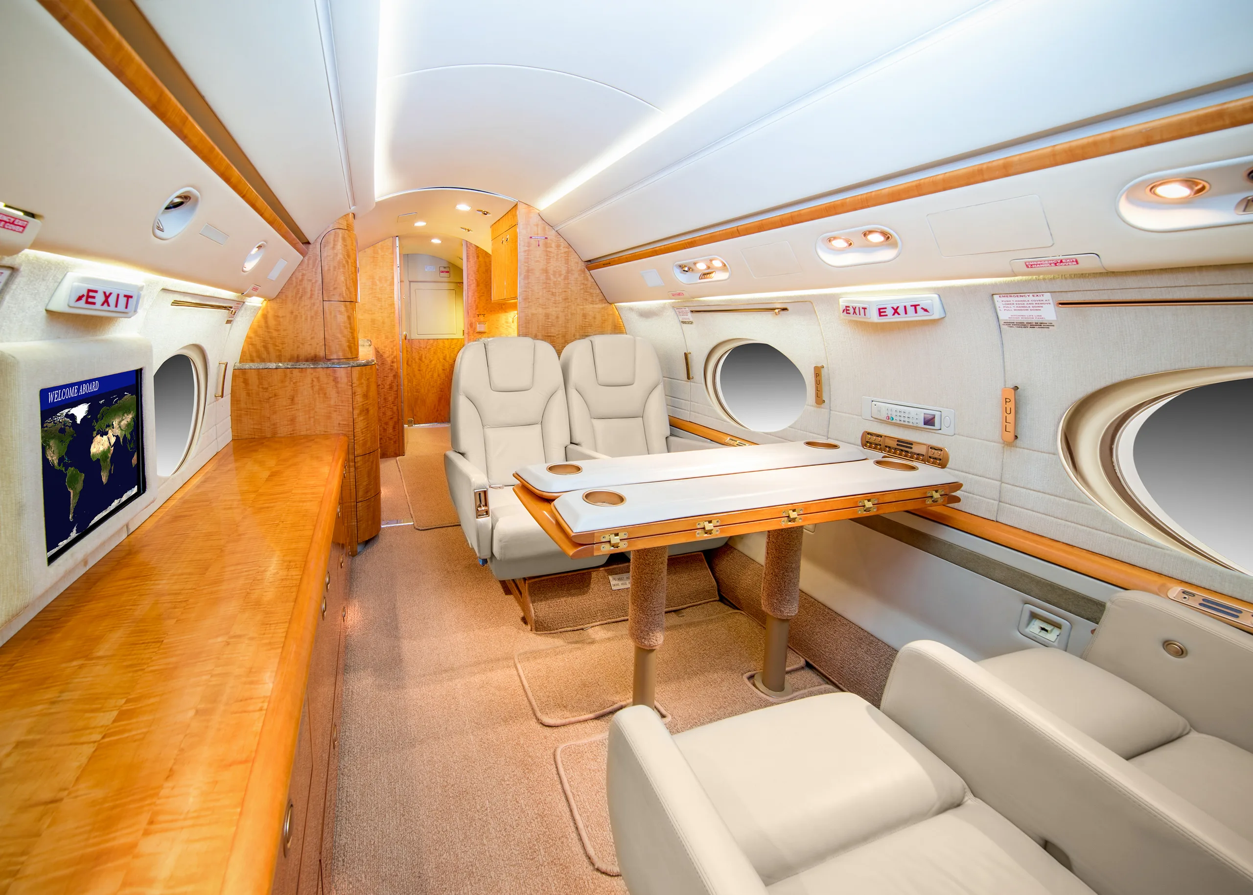 The aircraft's interior features comfortable seating and a table for passengers.