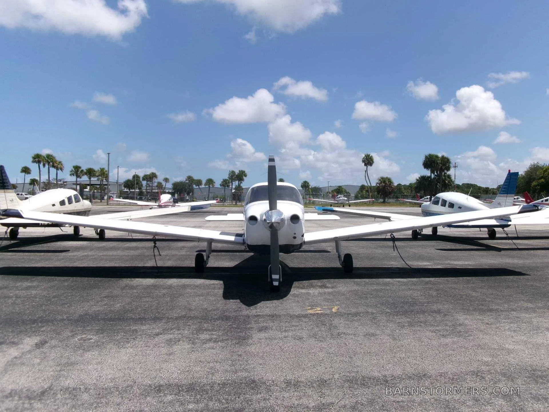 A front view of a white Piper PA-28 Cherokee with a black propeller, parked on an asphalt ramp surrounded by other small aircraft and palm trees.