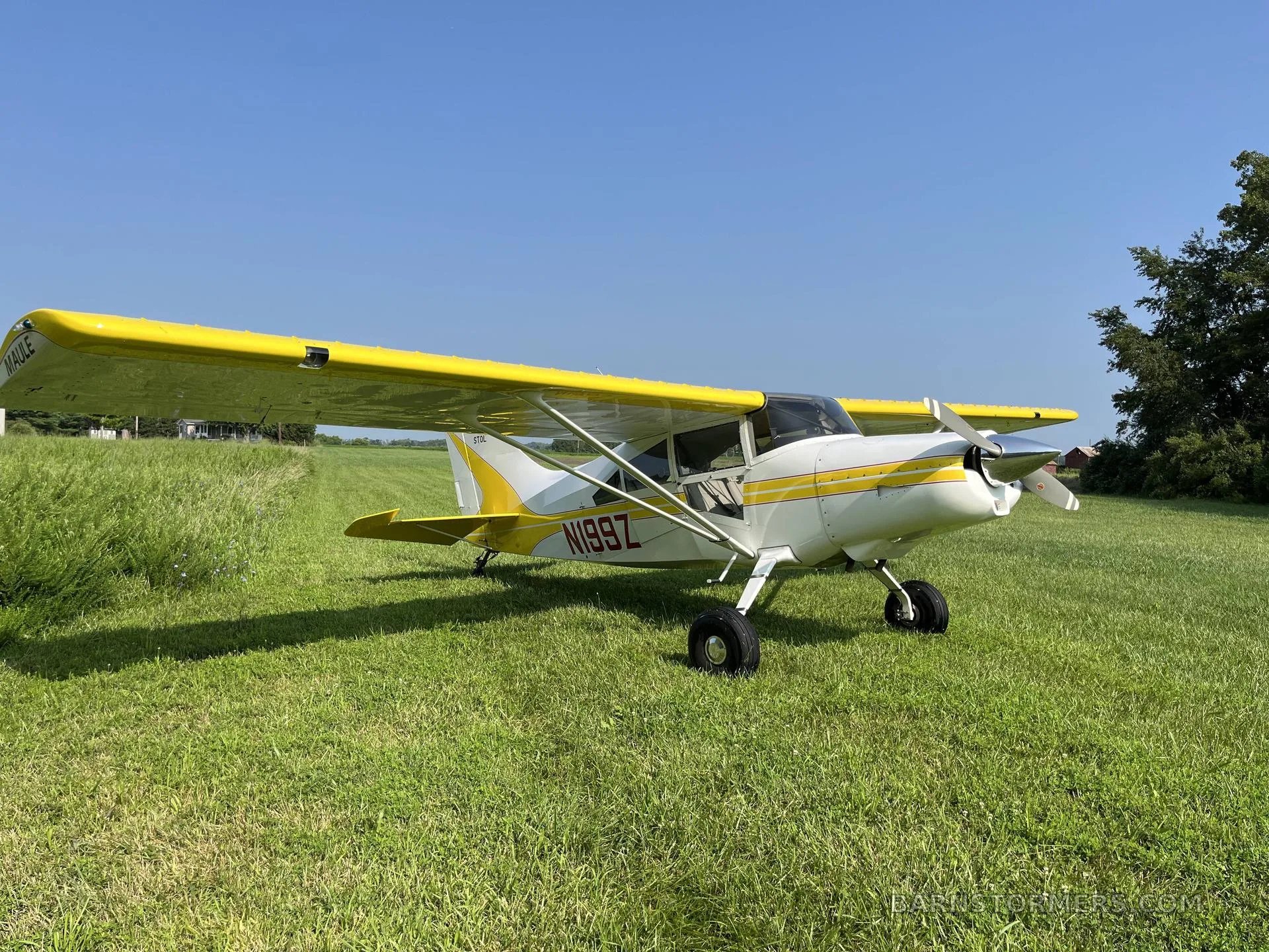 A white and yellow Maule aircraft (N199Z) is parked on a green grassy field under a clear blue sky.