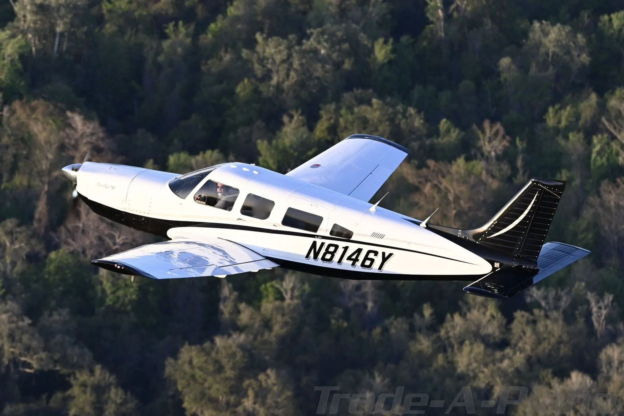 A white and black Piper Saratoga N8146Y flies over a forested landscape.