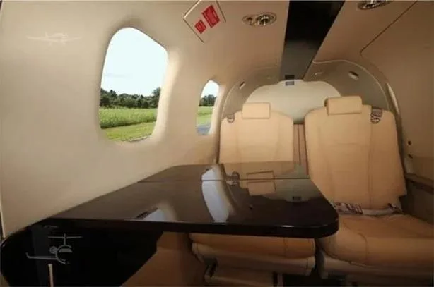 The aircraft's interior cabin features light tan leather seats, a dark table, and windows showing a green landscape.