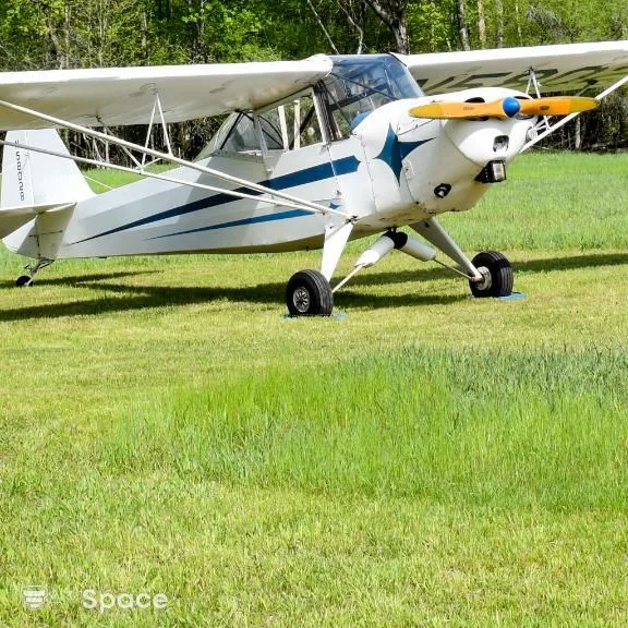 A white and blue single-engine propeller plane is parked on a green grassy field.