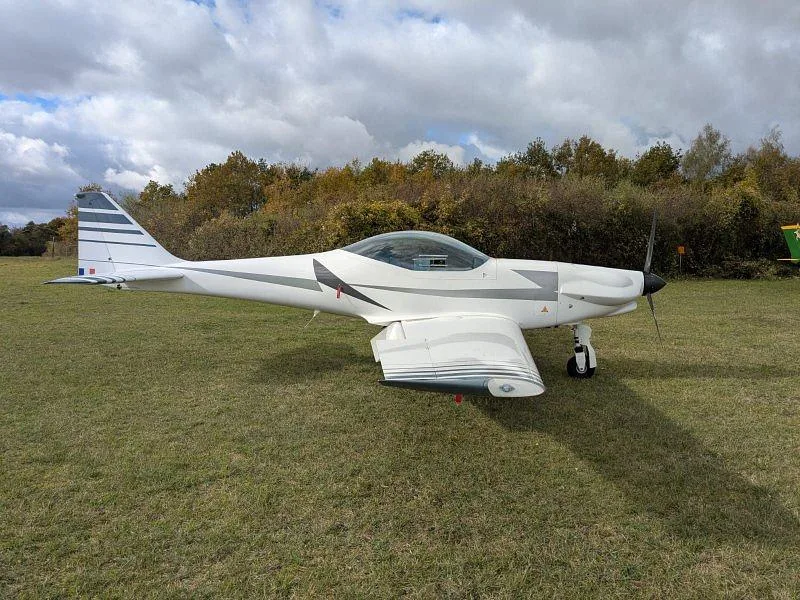 A white light aircraft with grey stripes parked on a grassy field with trees in the background.