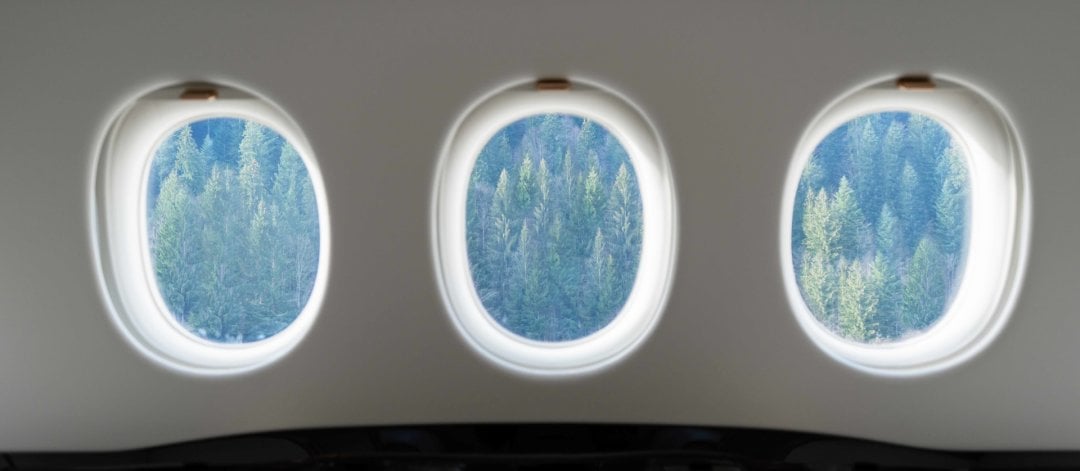 A view of the forest through the aircraft's windows.