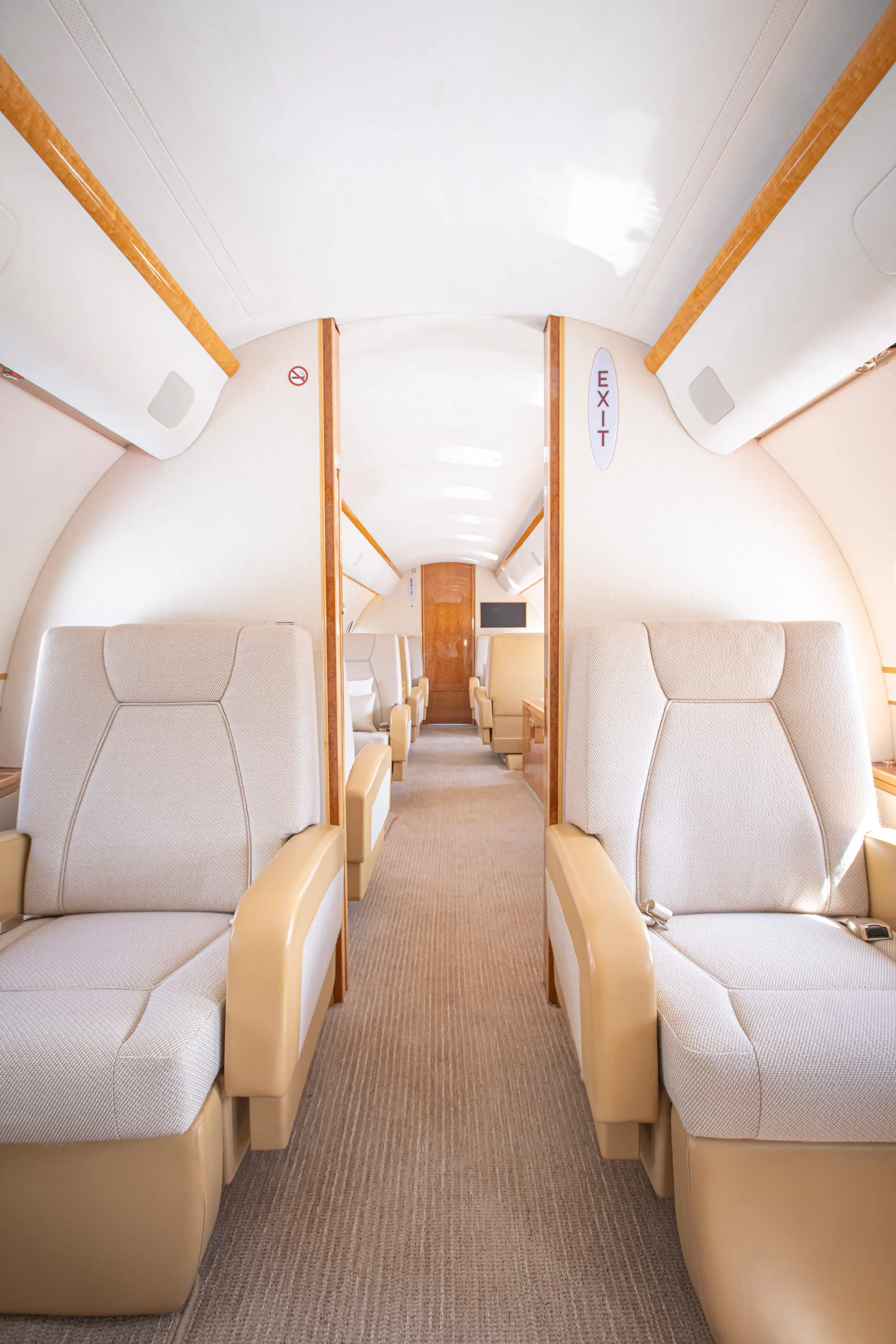 A view of the aircraft's interior with tan leather seats.