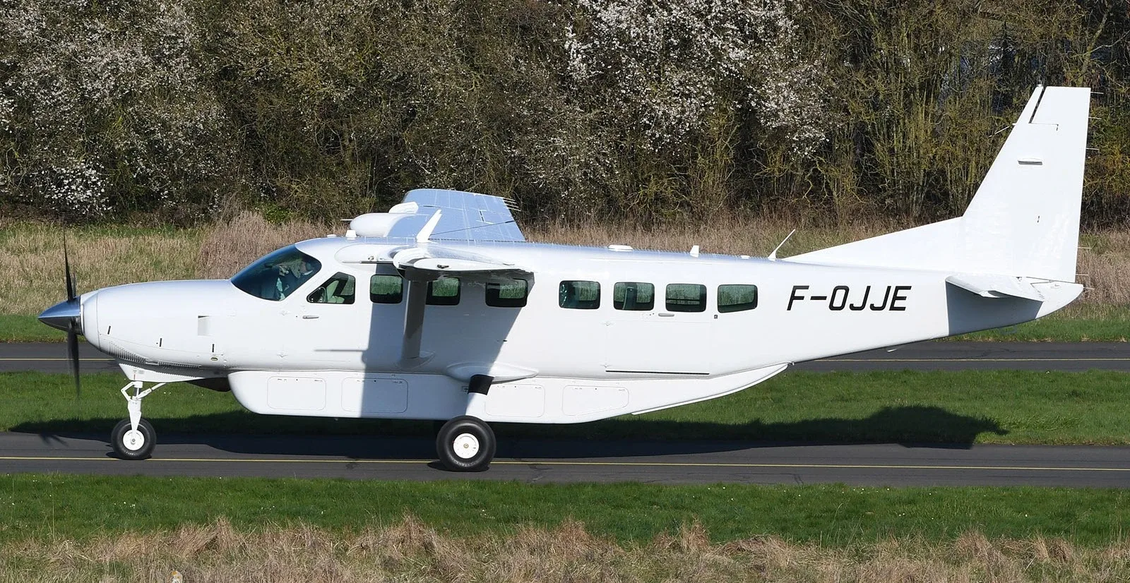 A white Cessna 208 Caravan aircraft with registration F-OJJE is seen on a tarmac with green grass and trees in the background.