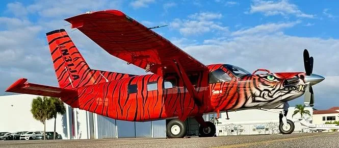 A red high-wing single-engine aircraft with black tiger stripes and a tiger face painted on the nose, registration N31JA, parked on an airfield under a blue sky.