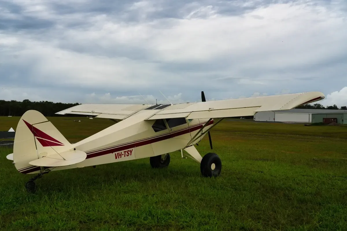 A cream and maroon single-engine taildragger aircraft with registration VH-TSY parked on a grassy airfield, viewed from the rear-side.