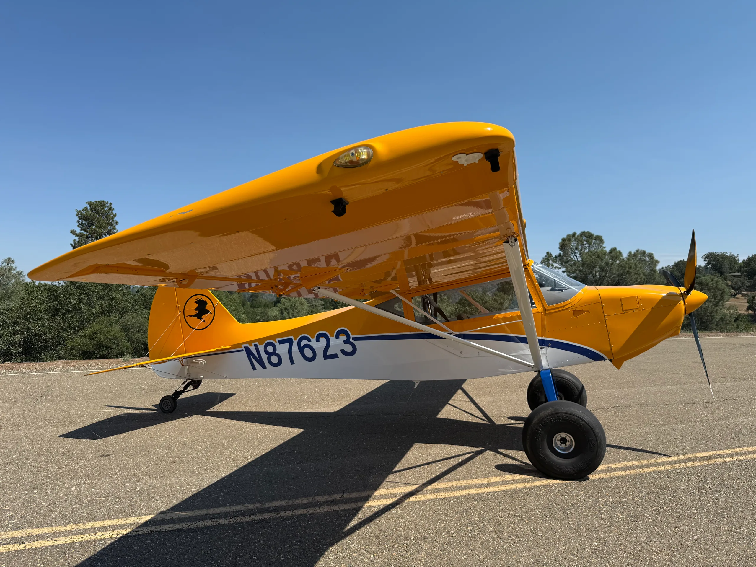 A yellow and white high-wing bush plane with blue stripes and large tires, registration N87623, parked on an asphalt surface.