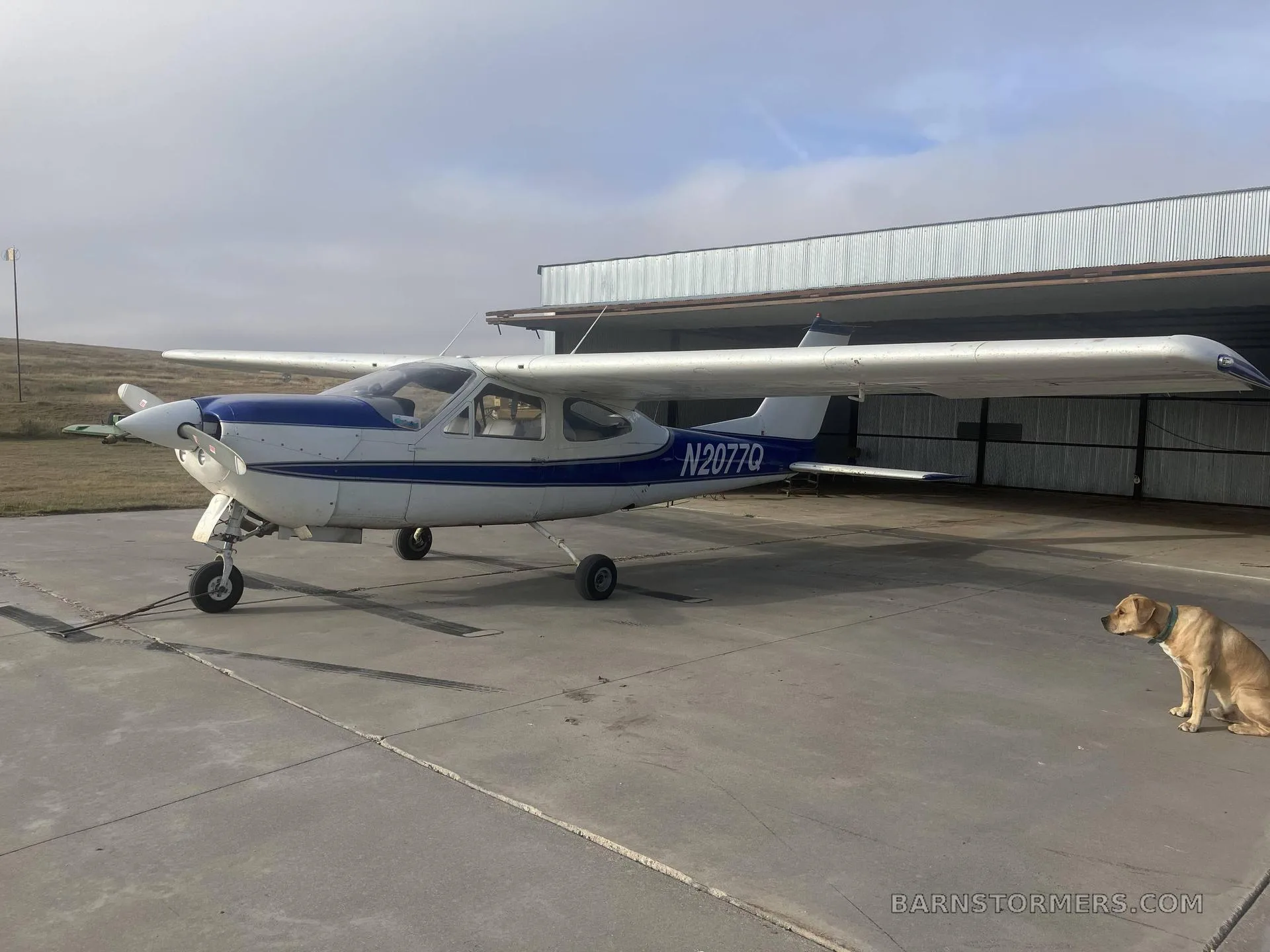 A white and blue Cessna aircraft with tail number N2077Q parked outside a hangar, with a dog sitting nearby.