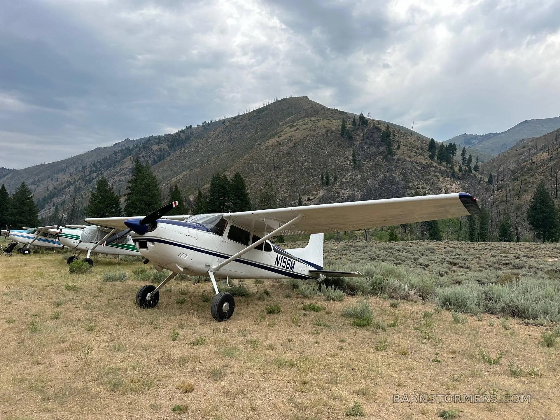 A white and blue Cessna 180 aircraft parked on a grassy field with mountains and trees under a cloudy sky.