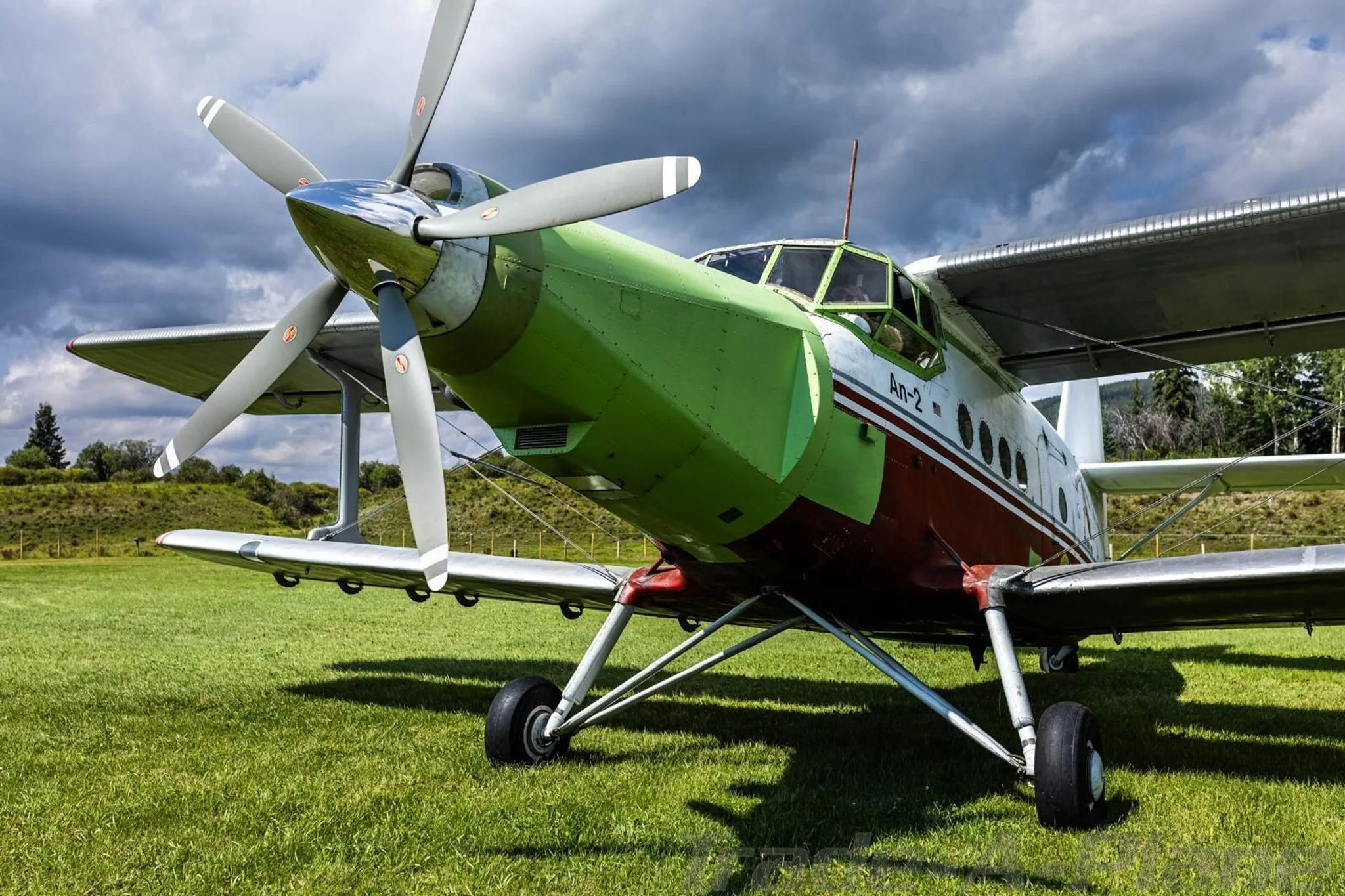 A close-up view of the front of an Antonov An-2 biplane, painted green and red, parked on a grassy field.