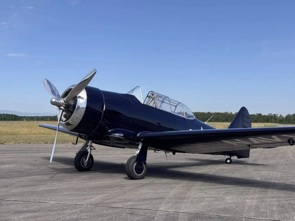 A dark blue North American T-6 Texan aircraft with a polished propeller is parked on an airfield on a sunny day.