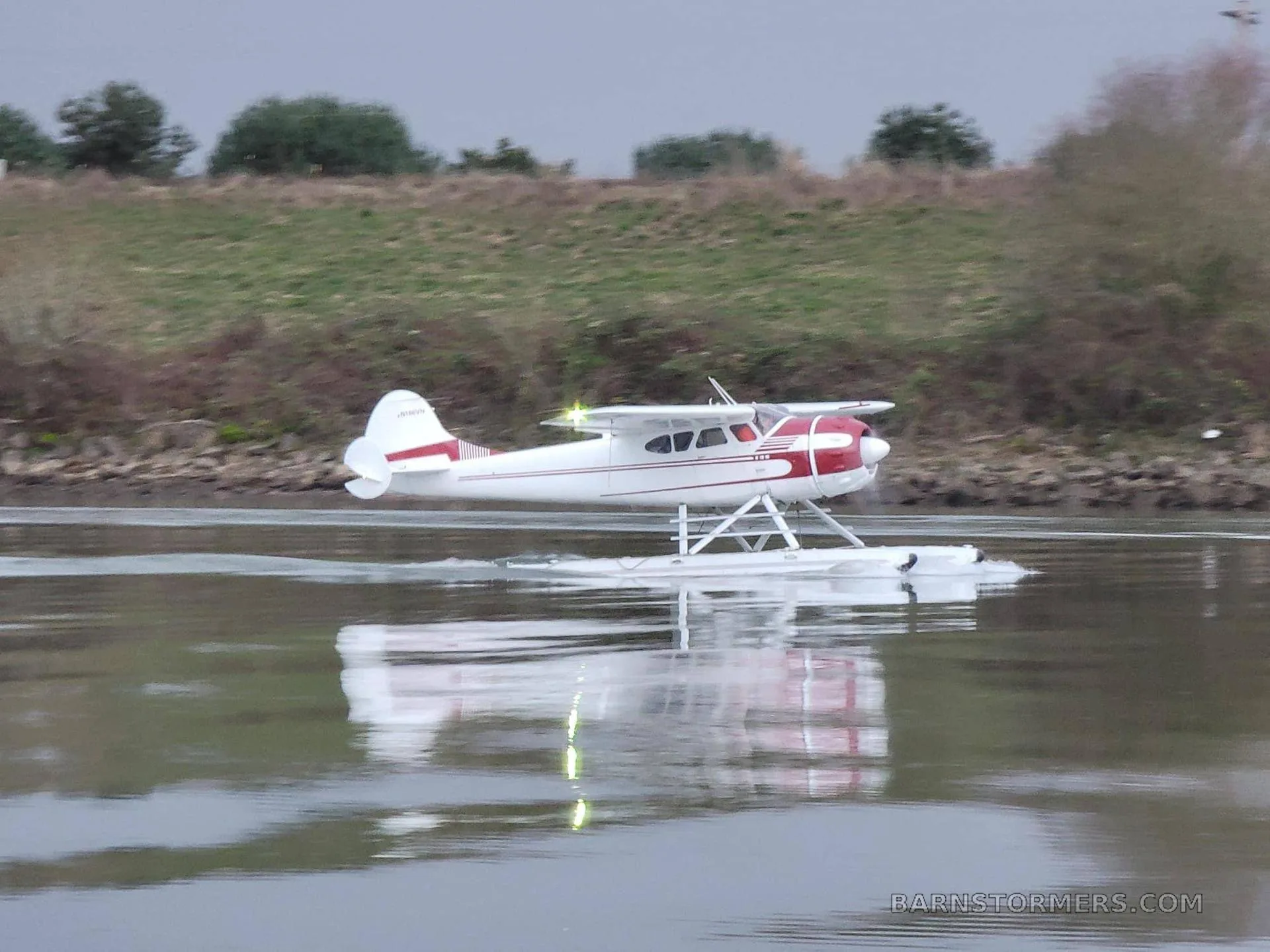 A white and red floatplane, likely a Cessna 180 or 185, on the water with a grassy bank in the background, creating a wake.
