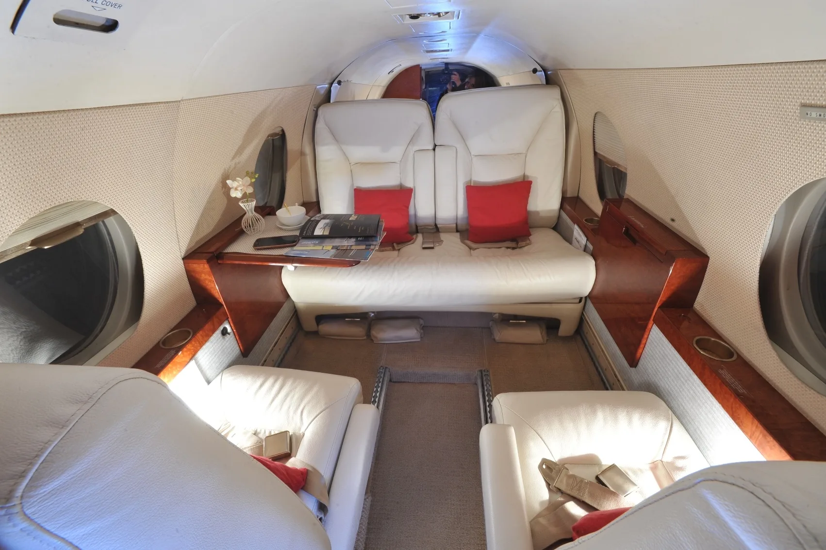 A wider view of the private jet cabin interior with cream leather seats, red pillows, and a small table with a vase.