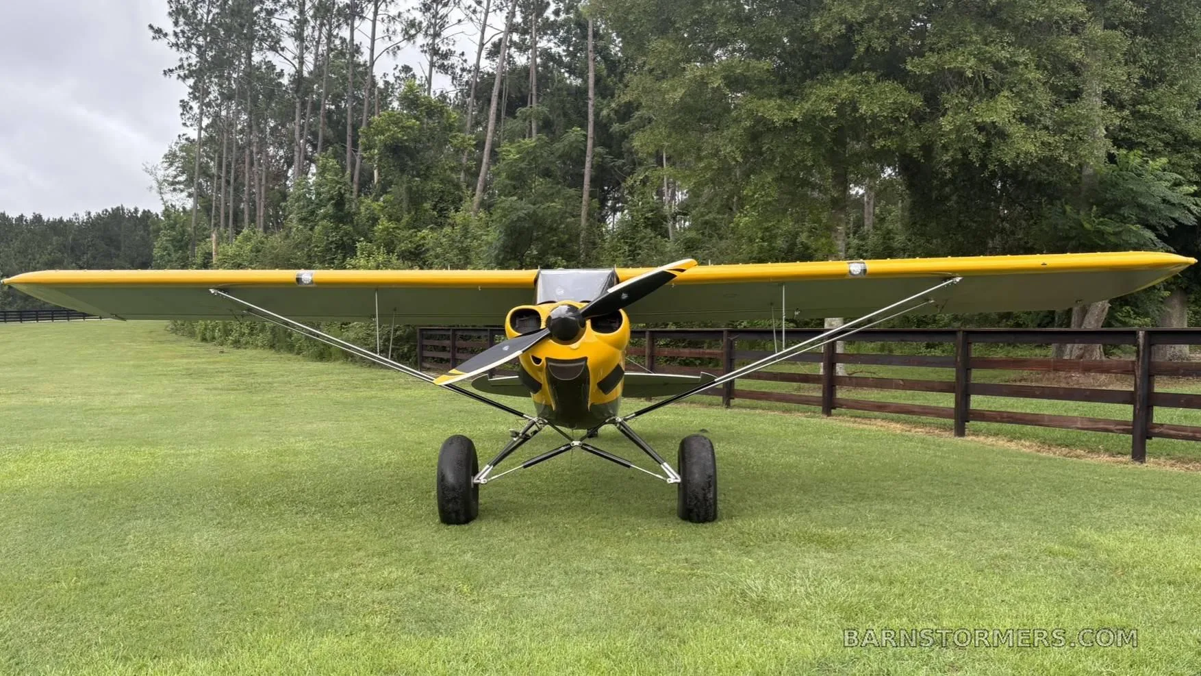 A front view of a yellow and grey CubCrafters Carbon Cub aircraft with large tires, parked on a green lawn.