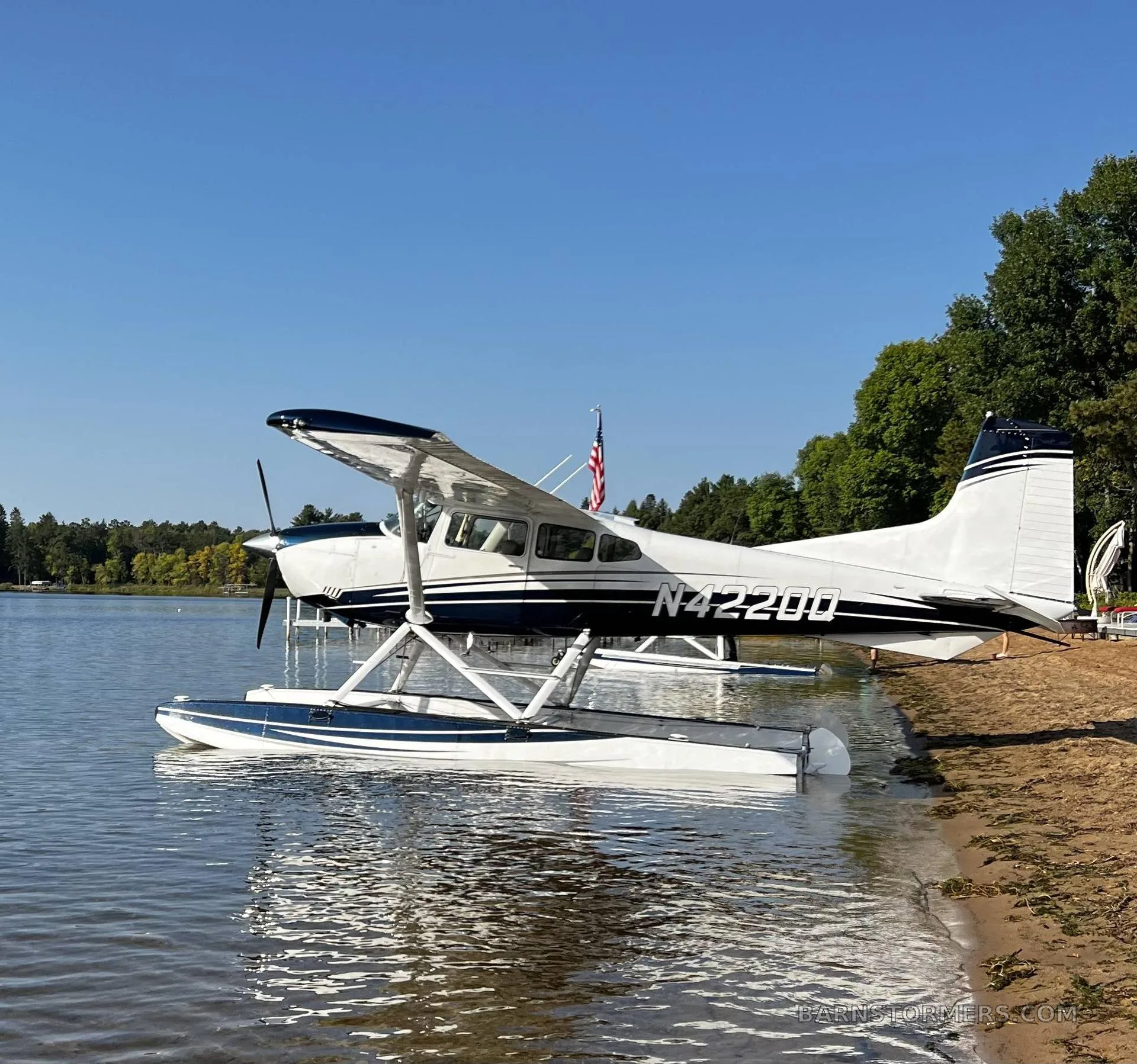 A white and blue seaplane with tail number N42200 is partially in the water next to a sandy shore with trees in the background.