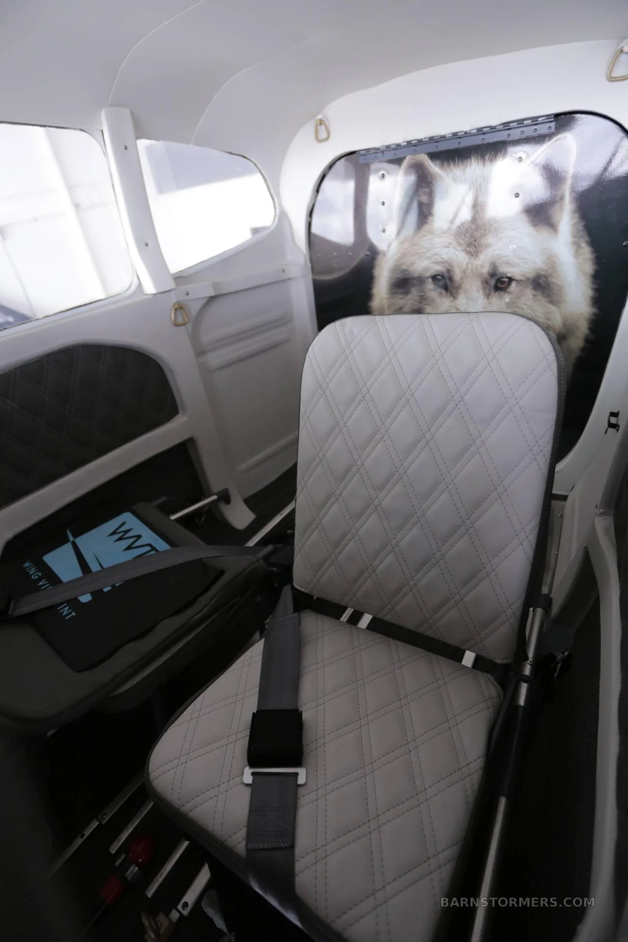 The aircraft's interior cabin with a light gray quilted seat and a large wolf graphic on the rear bulkhead.