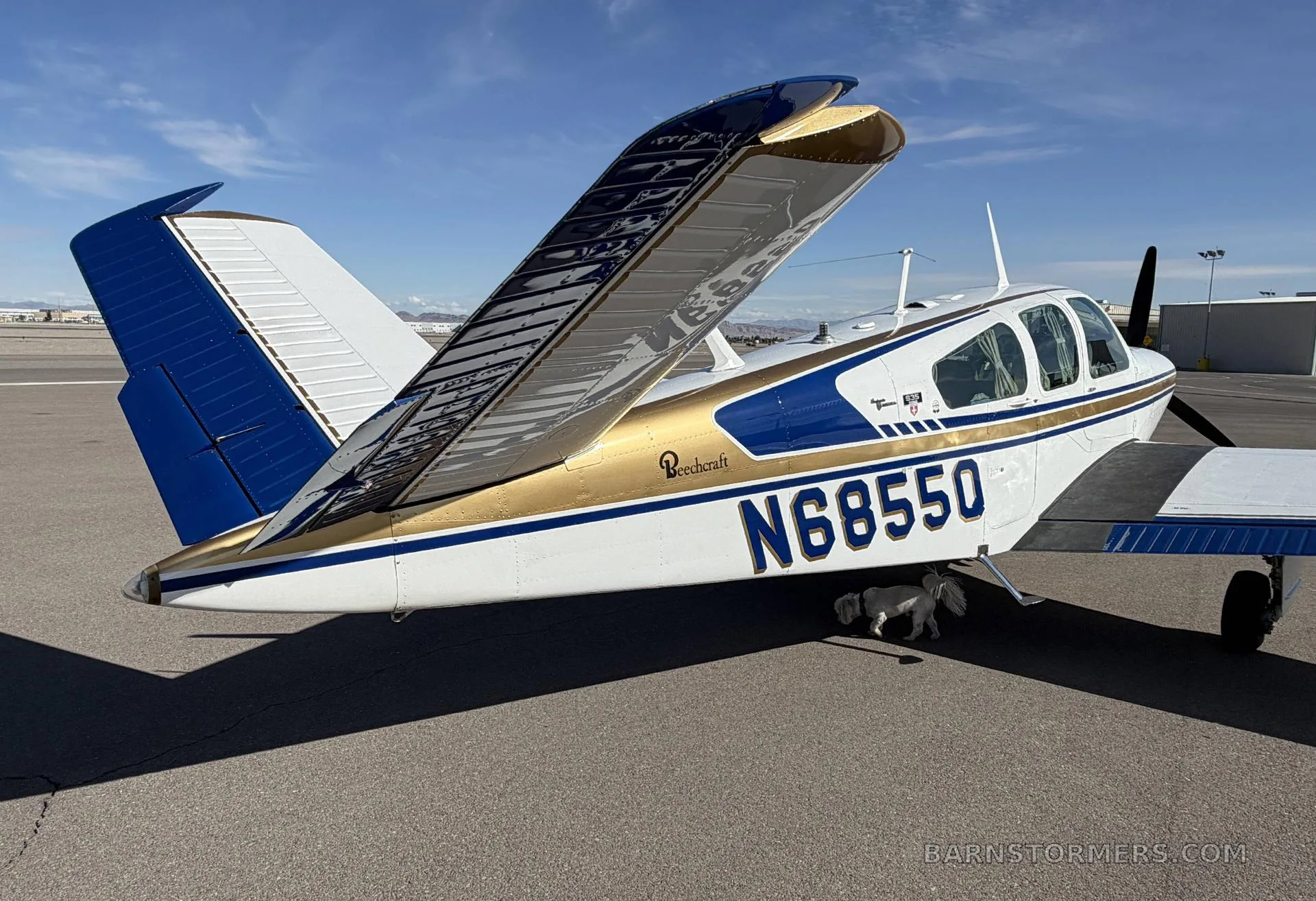 A rear-side view of the white, blue, and gold Beechcraft Bonanza N68550 on an airfield.