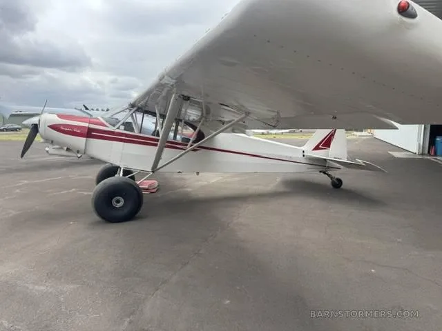 A side view of a white and red Super Cub aircraft with large tundra tires parked on an asphalt apron.