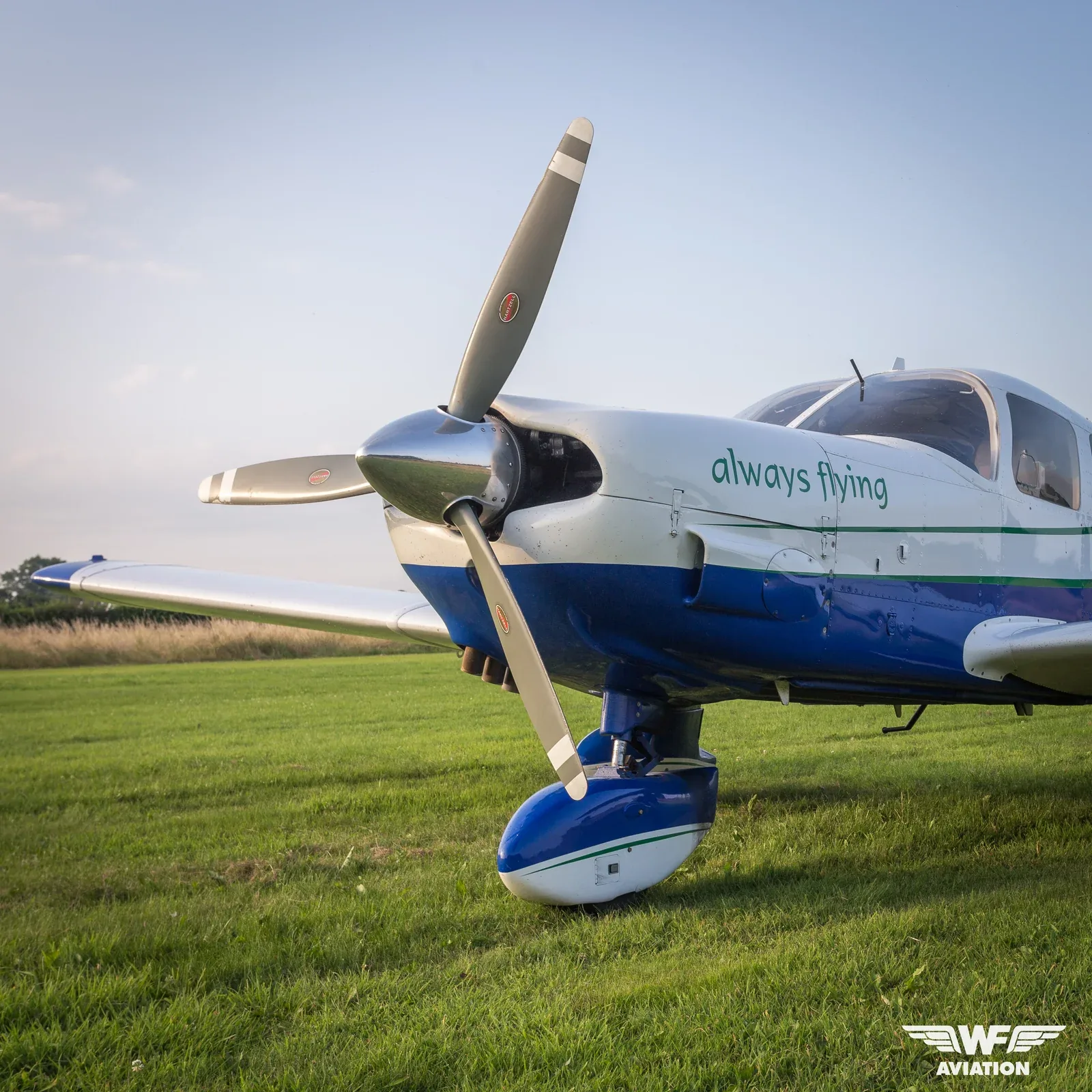 A close-up view of a white and blue single-engine propeller aircraft with "always flying" on its fuselage, parked on a grassy field.