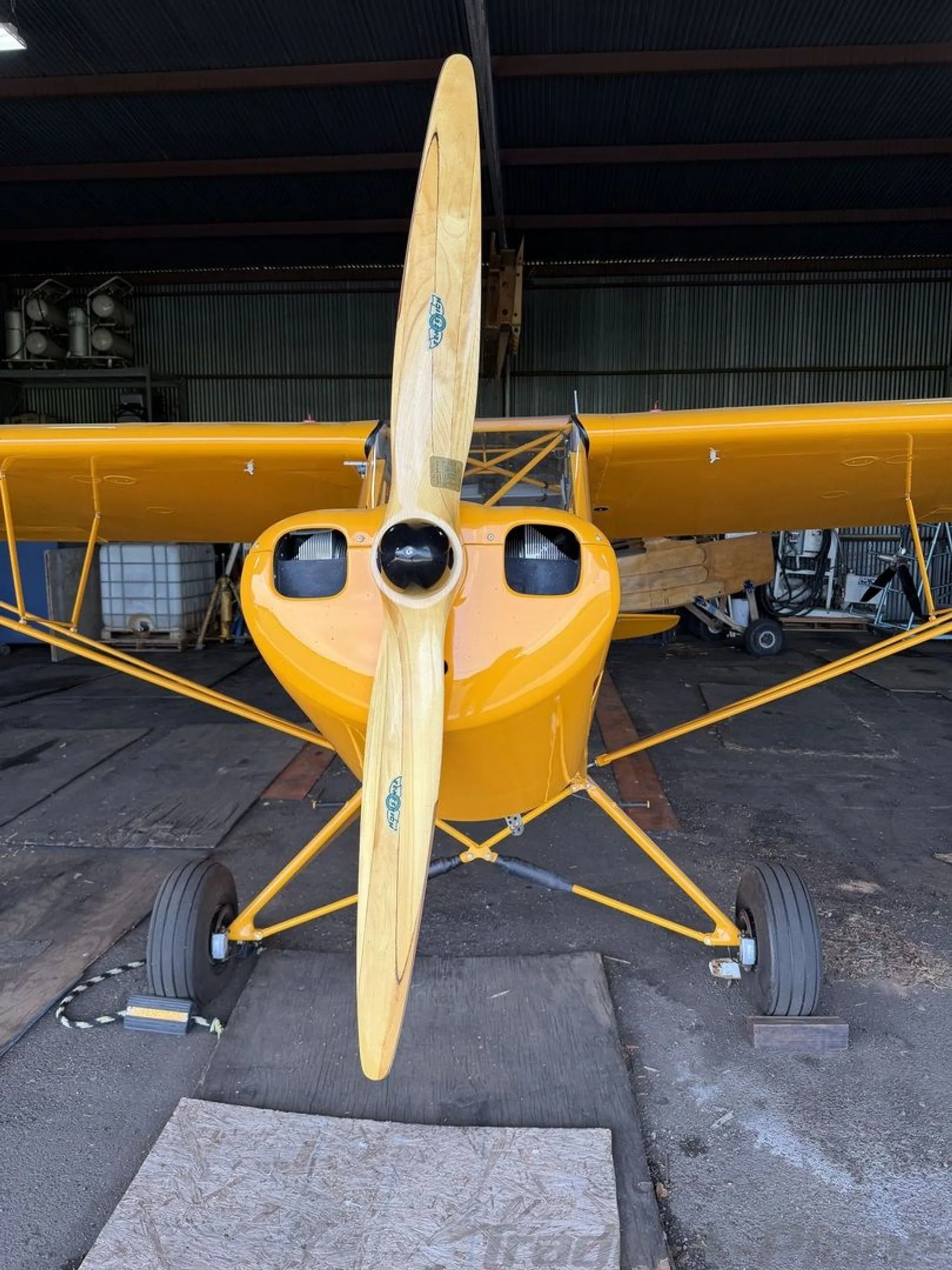 Close-up front view of the yellow American Legend Cub aircraft showing its wooden propeller and landing gear.