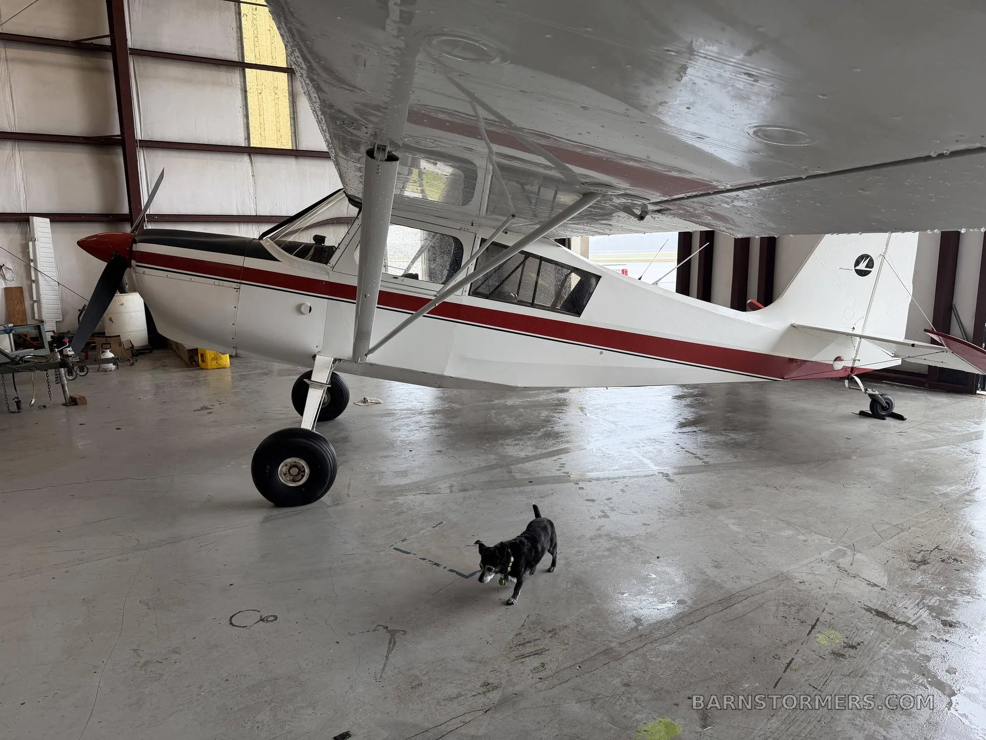 A white and red high-wing single-engine aircraft with a propeller, parked in a hangar, with a small black dog in the foreground.