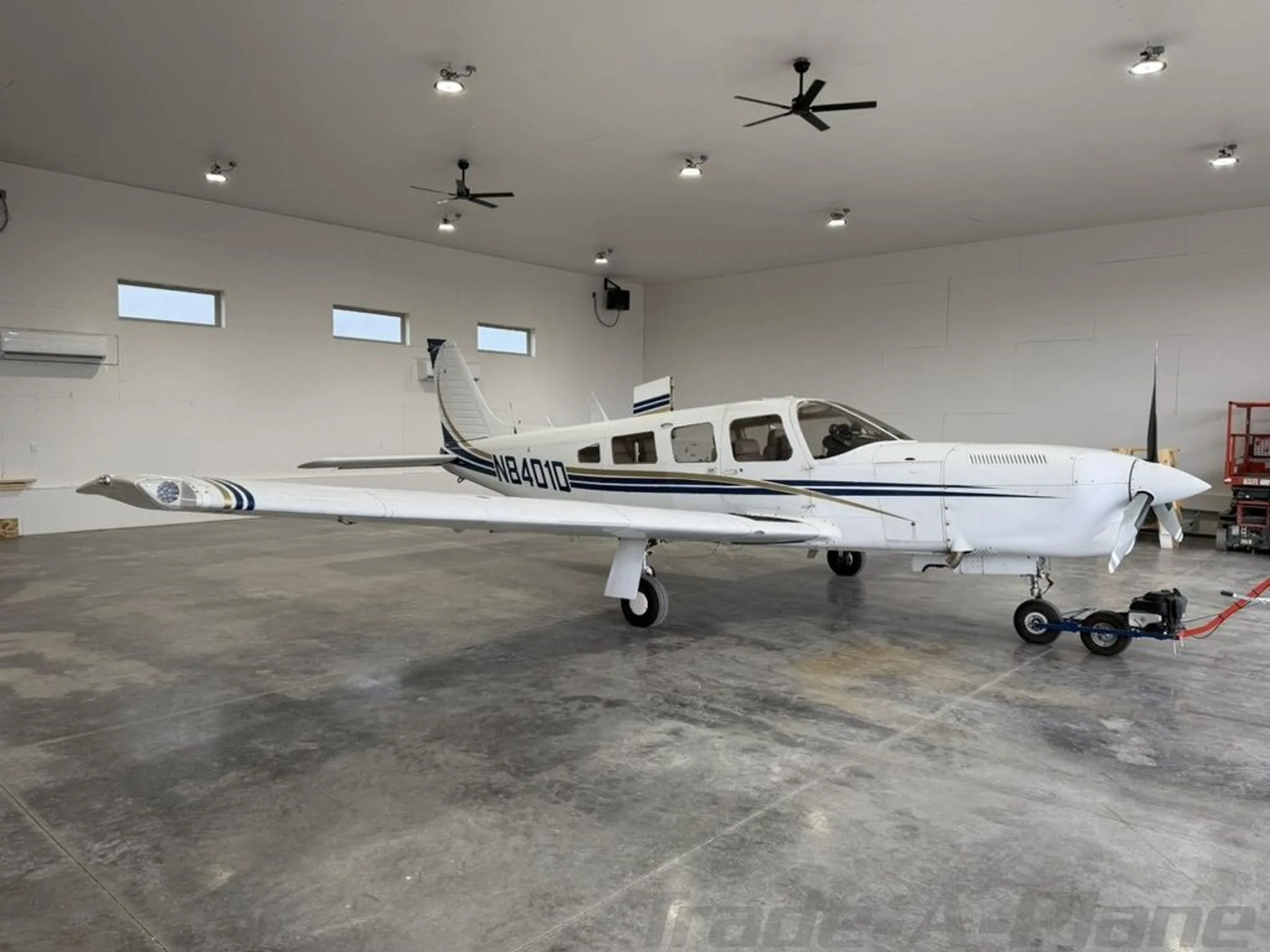 A white single-engine propeller aircraft with blue and gold stripes, registration N8401D, parked in a hangar.