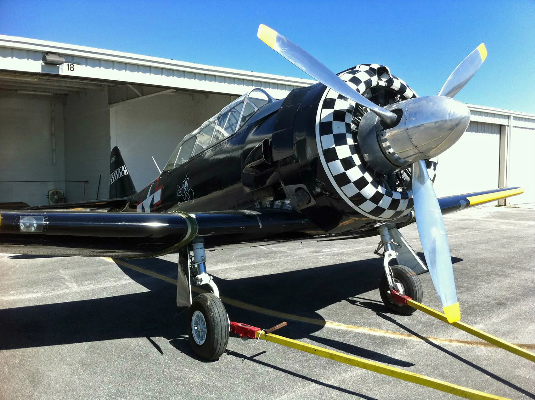 A black warbird aircraft with a checkered nose and yellow wing stripes, tied down on an airfield.