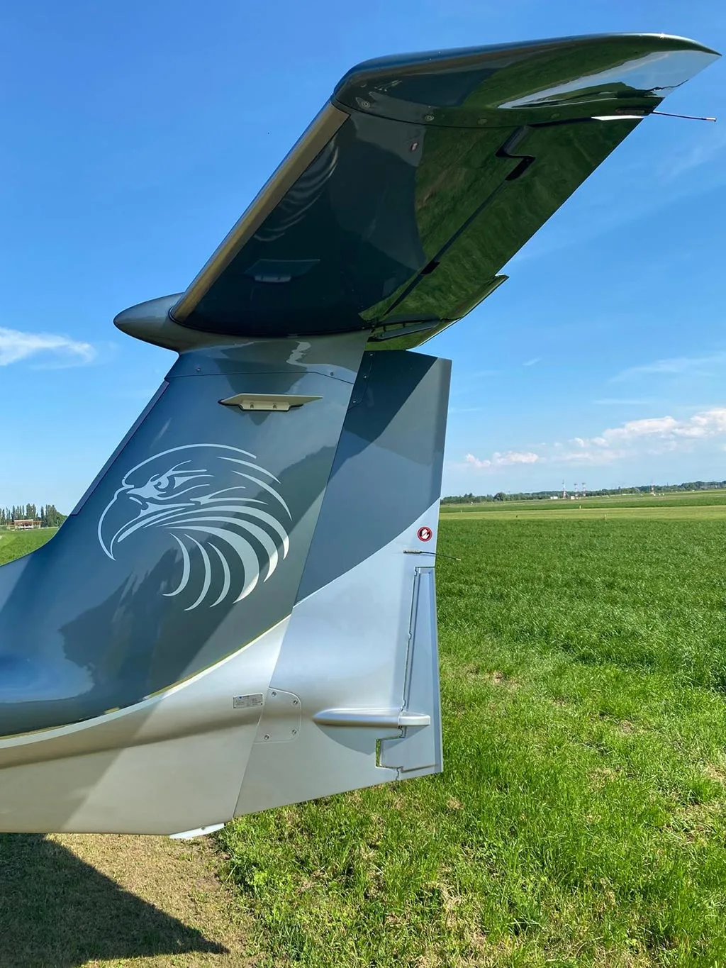 A close-up view of the tail of a dark grey Diamond DA62 aircraft, featuring a white eagle head graphic, against a green field.