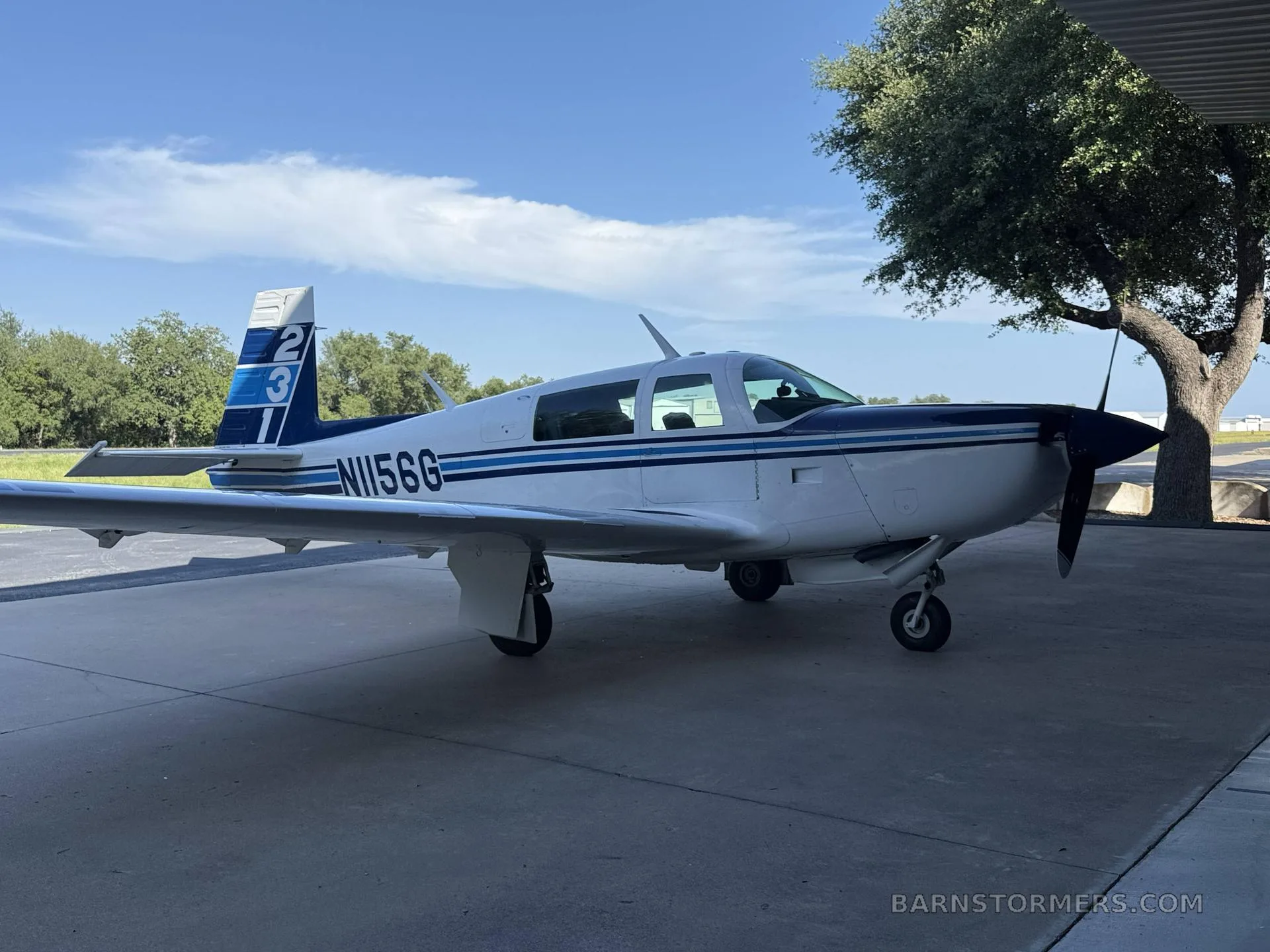 A white and blue single-engine aircraft (N156G) with a propeller, parked under a tree on a sunny day.