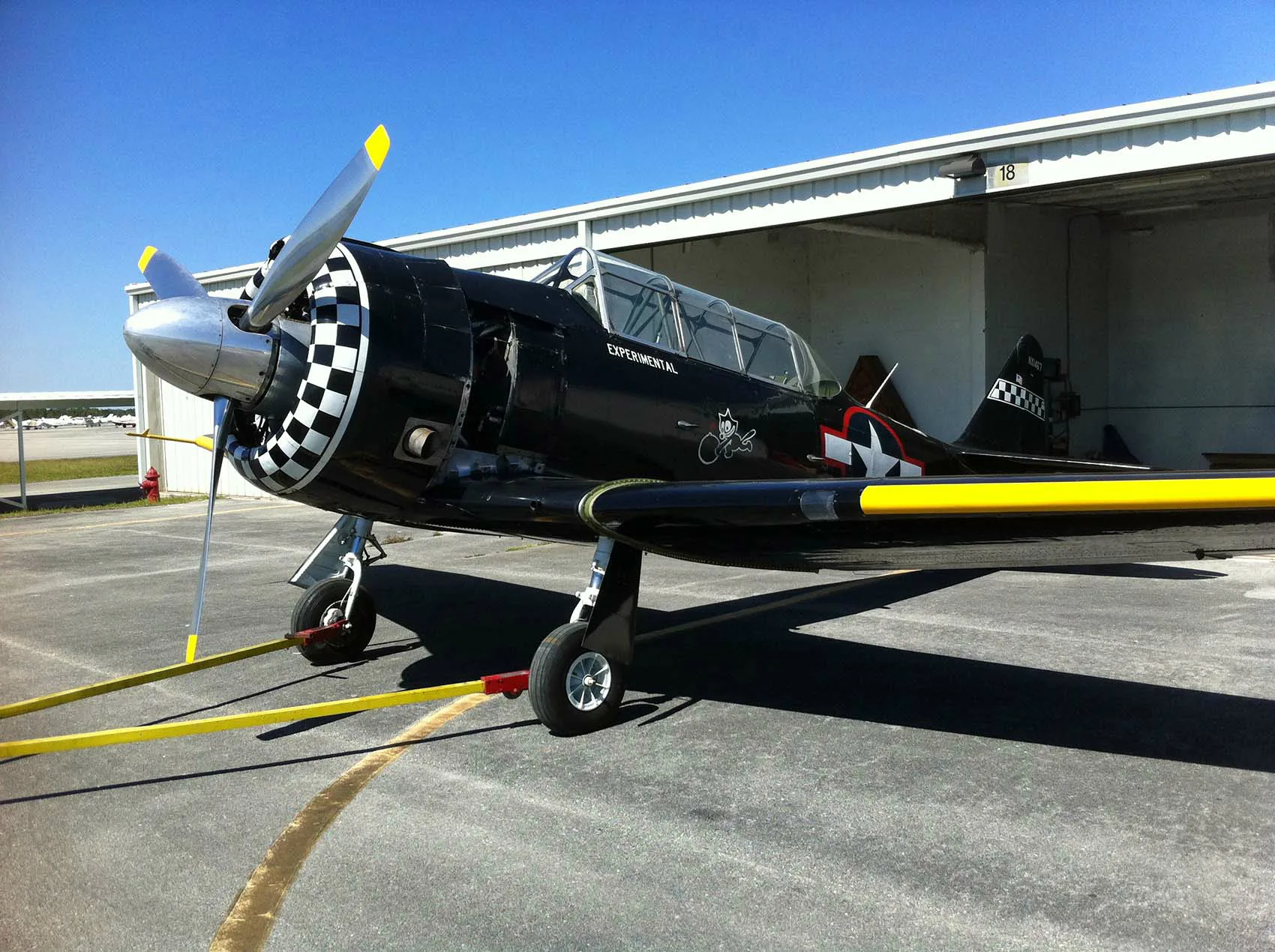 A black warbird aircraft with a checkered nose and yellow wing stripes, tied down on an airfield with a hangar in the background.