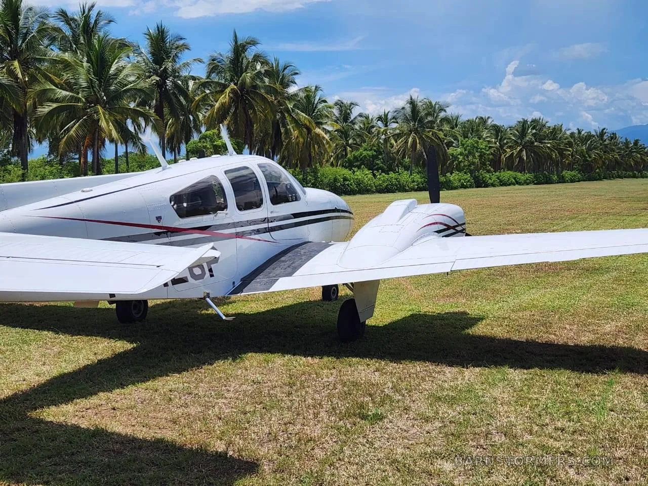 A white twin-engine aircraft with black and red stripes is parked on a grassy field with palm trees in the background under a blue sky.
