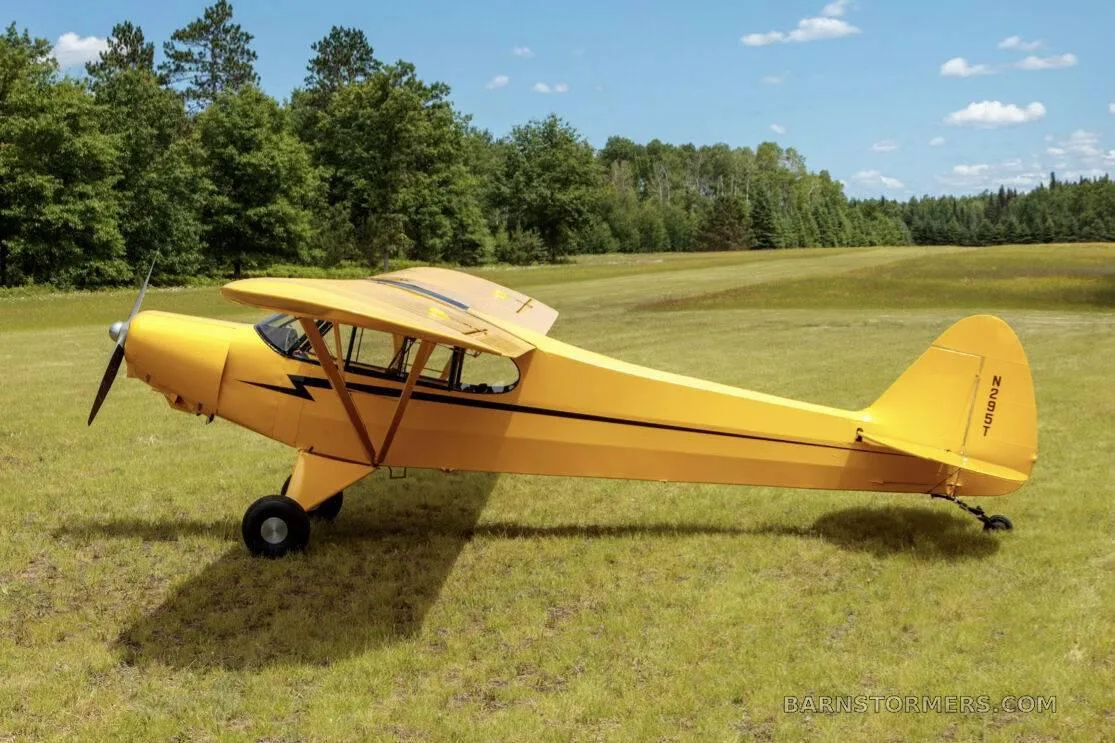 A yellow high-wing taildragger aircraft with a black lightning bolt stripe parked on a grassy field.