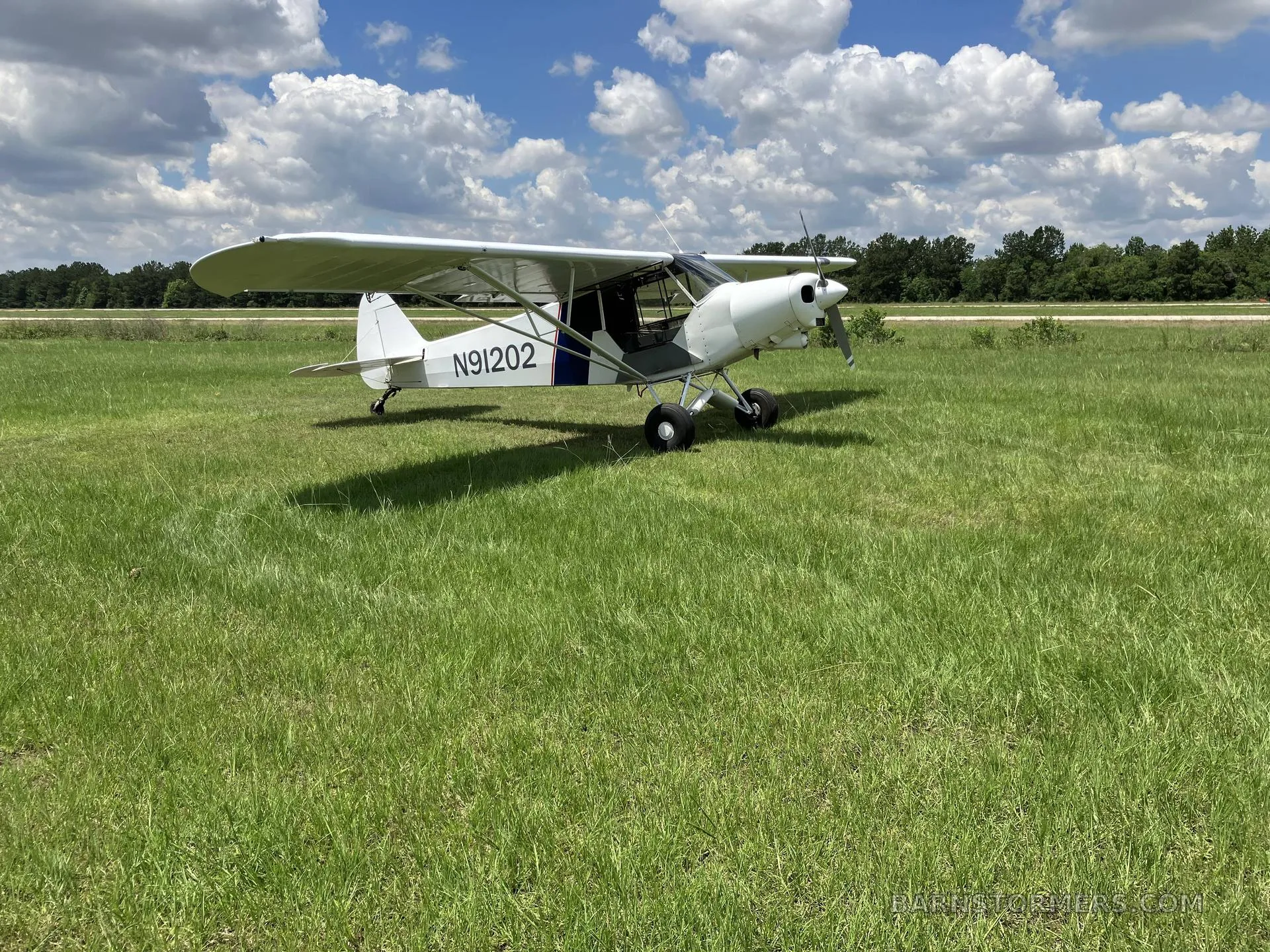 A white single-engine high-wing aircraft with registration N91202 and a blue stripe, viewed from the left side, on a grassy field.