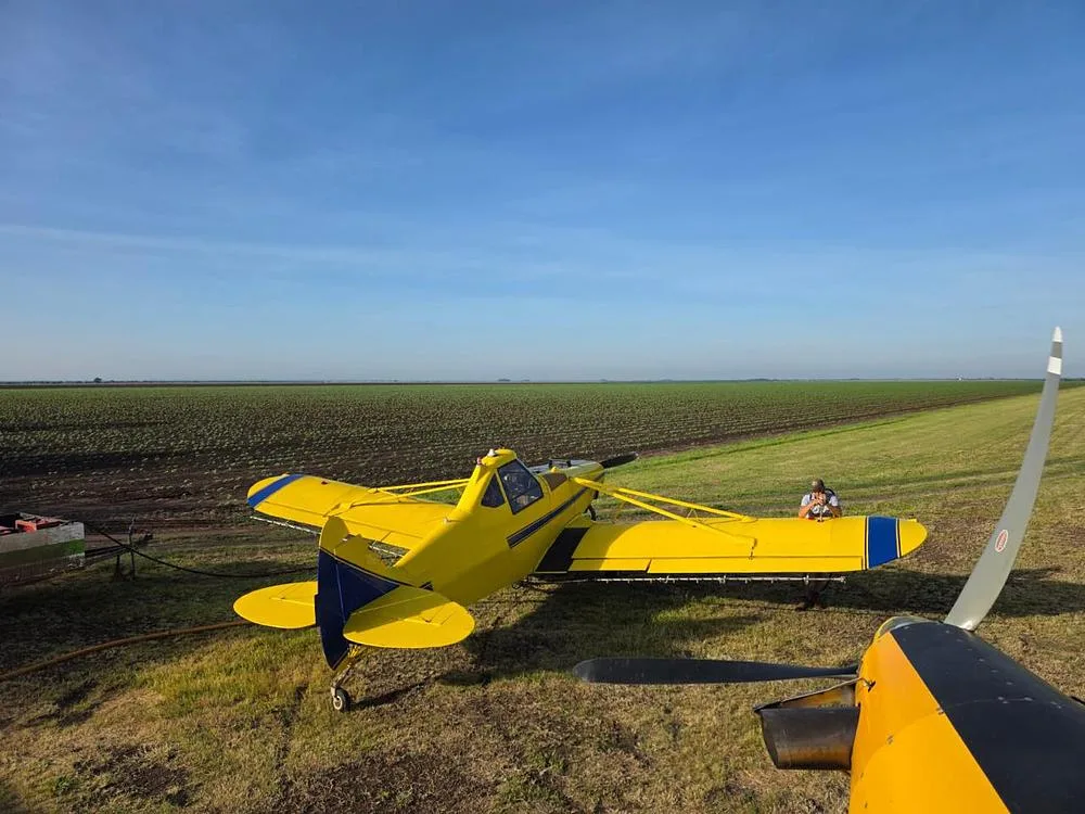 A yellow agricultural aircraft with blue stripes is parked in a green field with a person standing near its tail.