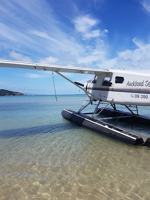A white seaplane with 'Auckland Sea' text on its side is partially in clear blue water with an island in the background.