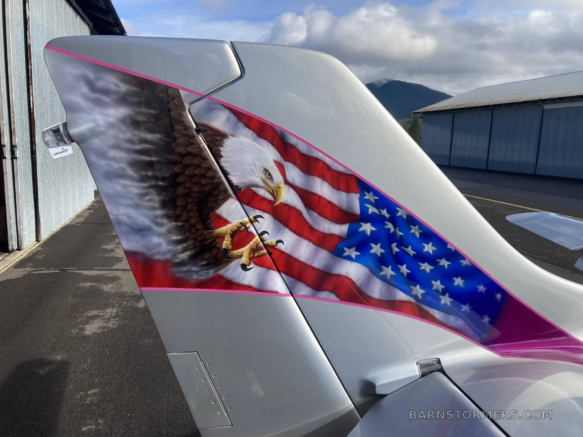 A close-up view of the tail of a silver aircraft, featuring a custom paint scheme of a bald eagle against an American flag.
