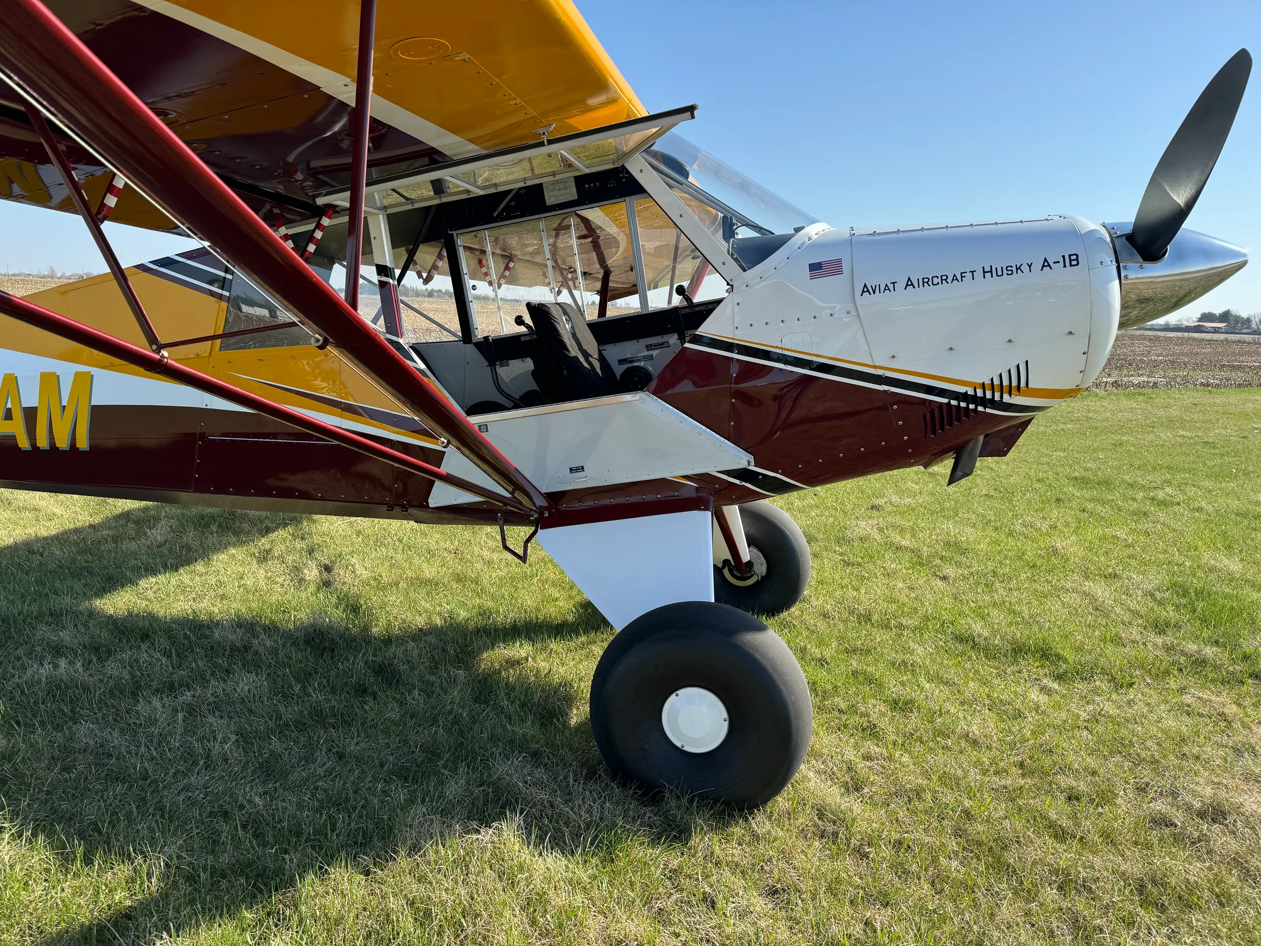 Close-up side view of the front fuselage of an Aviat Aircraft Husky A-1B (N307AM), showing its white, yellow, and maroon paint scheme and open cockpit on a grassy field.