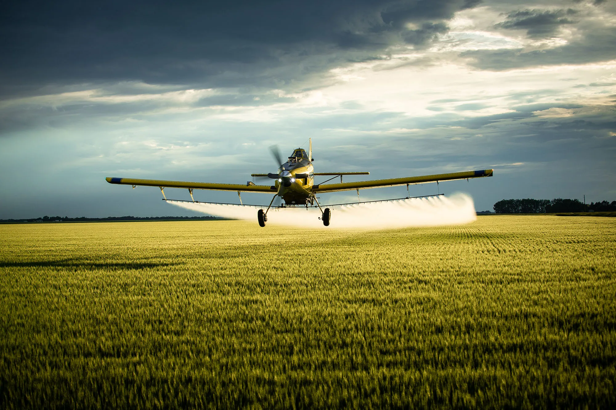 A yellow agricultural aircraft with blue wingtips sprays a green field under a dramatic cloudy sky.