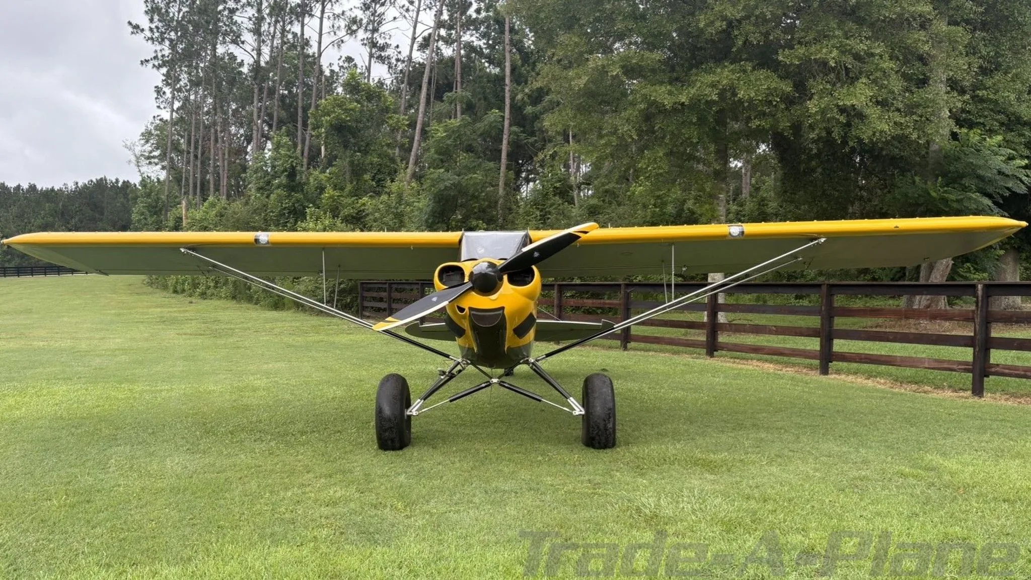 A head-on view of a yellow and gray CubCrafters Carbon Cub aircraft with large tundra tires, parked on green grass.