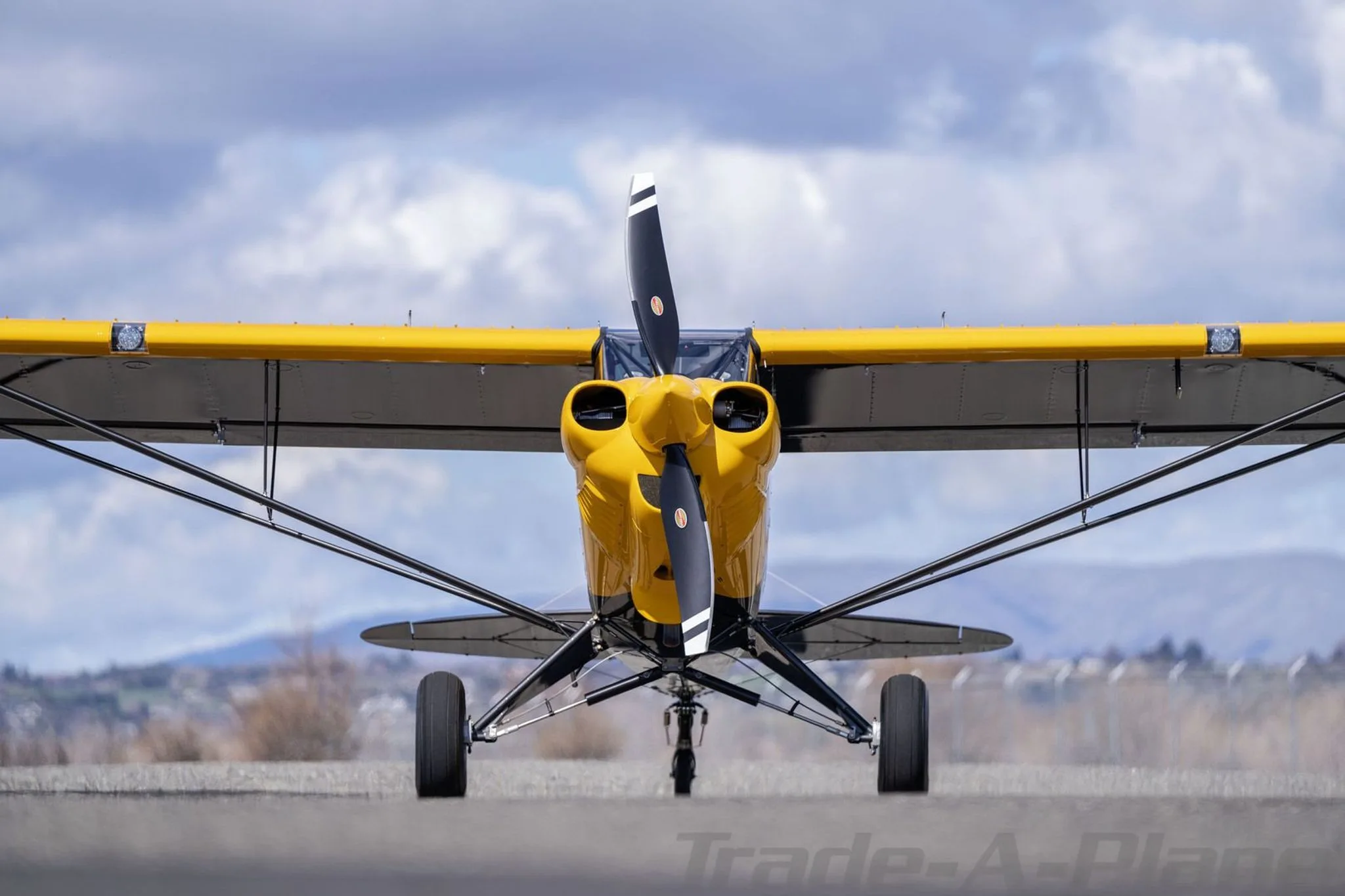 A head-on view of a yellow and black Carbon Cub FX3 aircraft on an airfield.