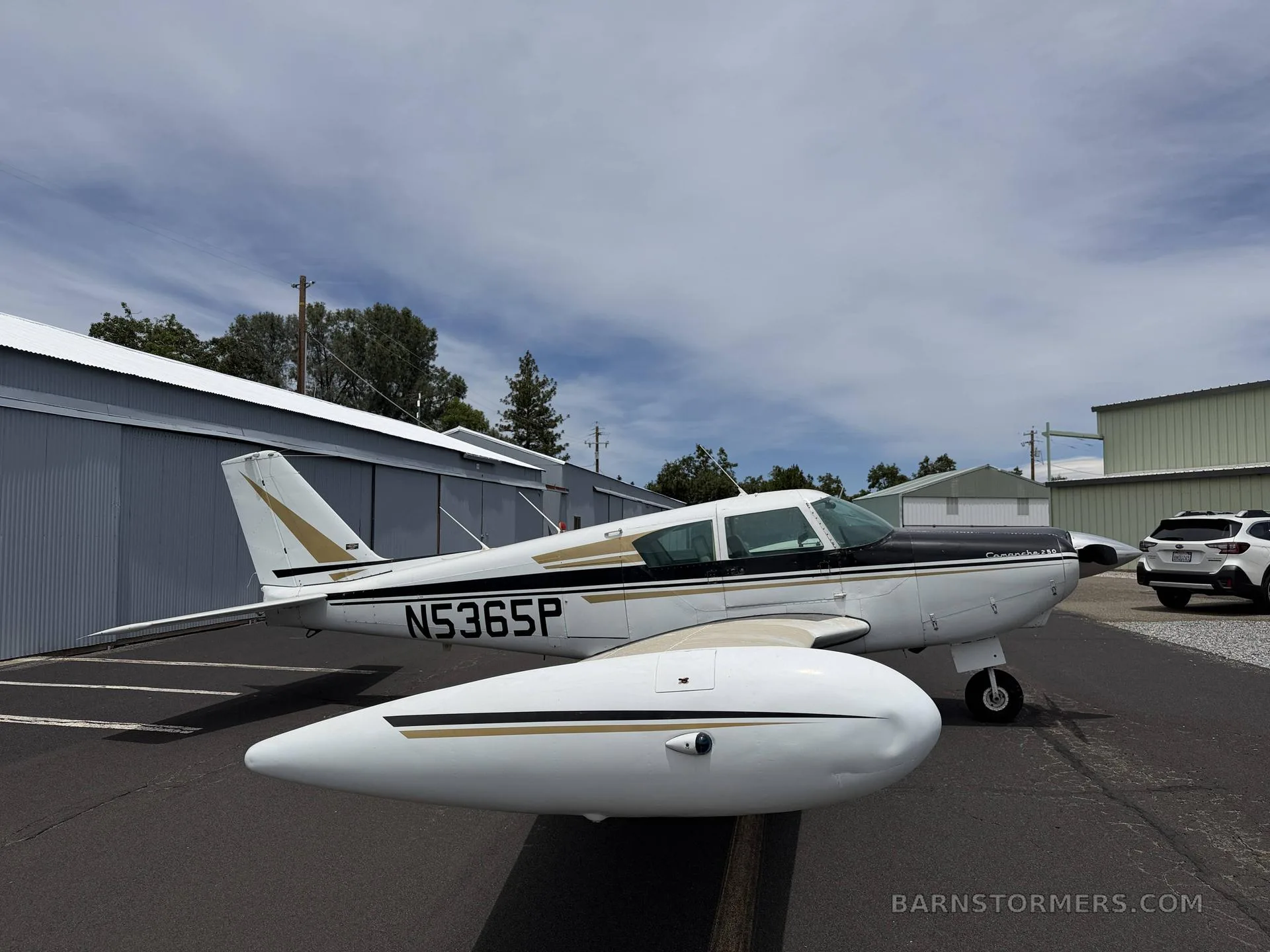A white and black single-engine propeller aircraft with gold stripes, registration N5365P, parked on an asphalt ramp next to hangars.