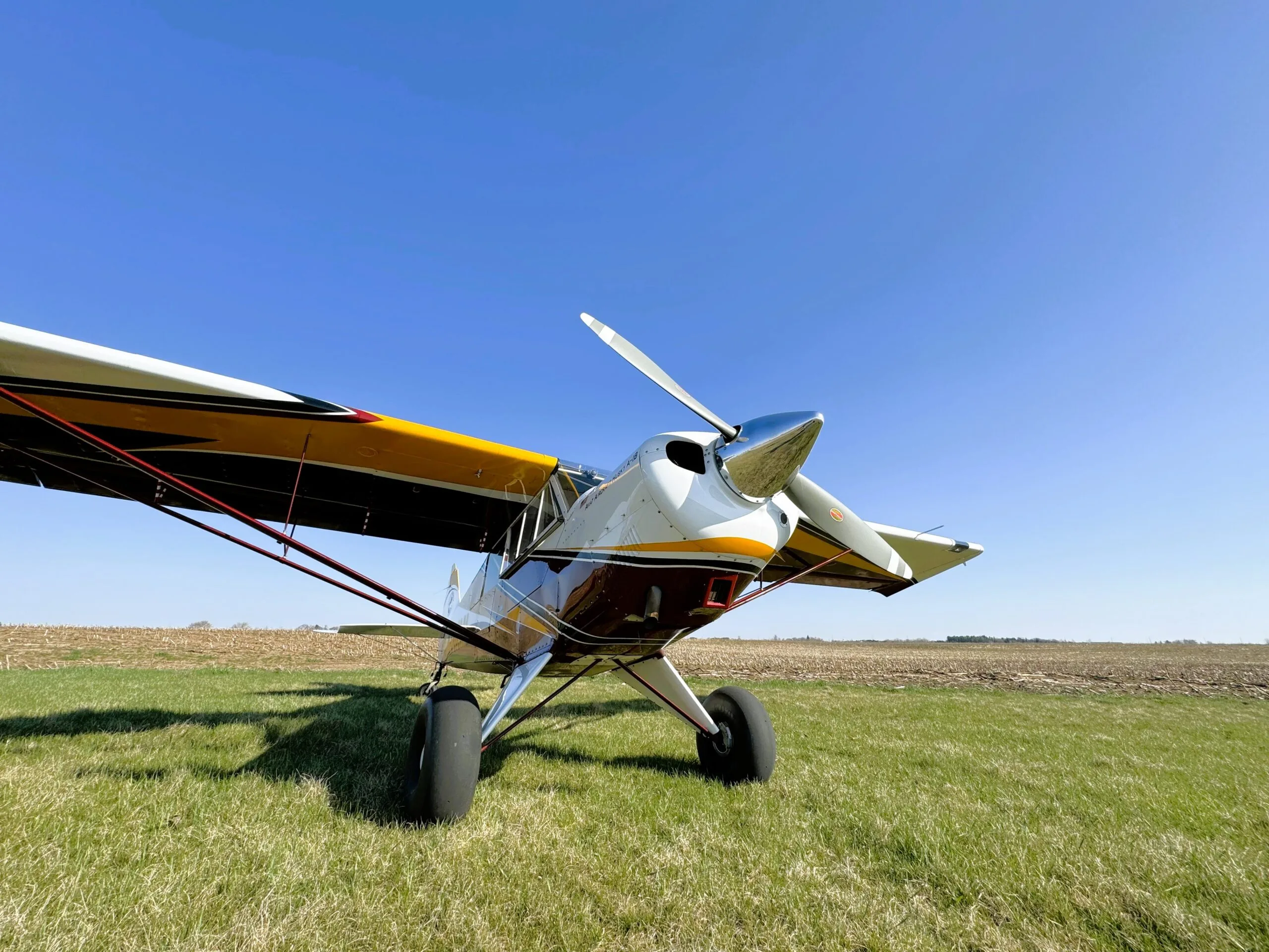 Front-right view of a white, yellow, and maroon Aviat Aircraft Husky A-1B (N307AM) on a grassy field under a clear blue sky.