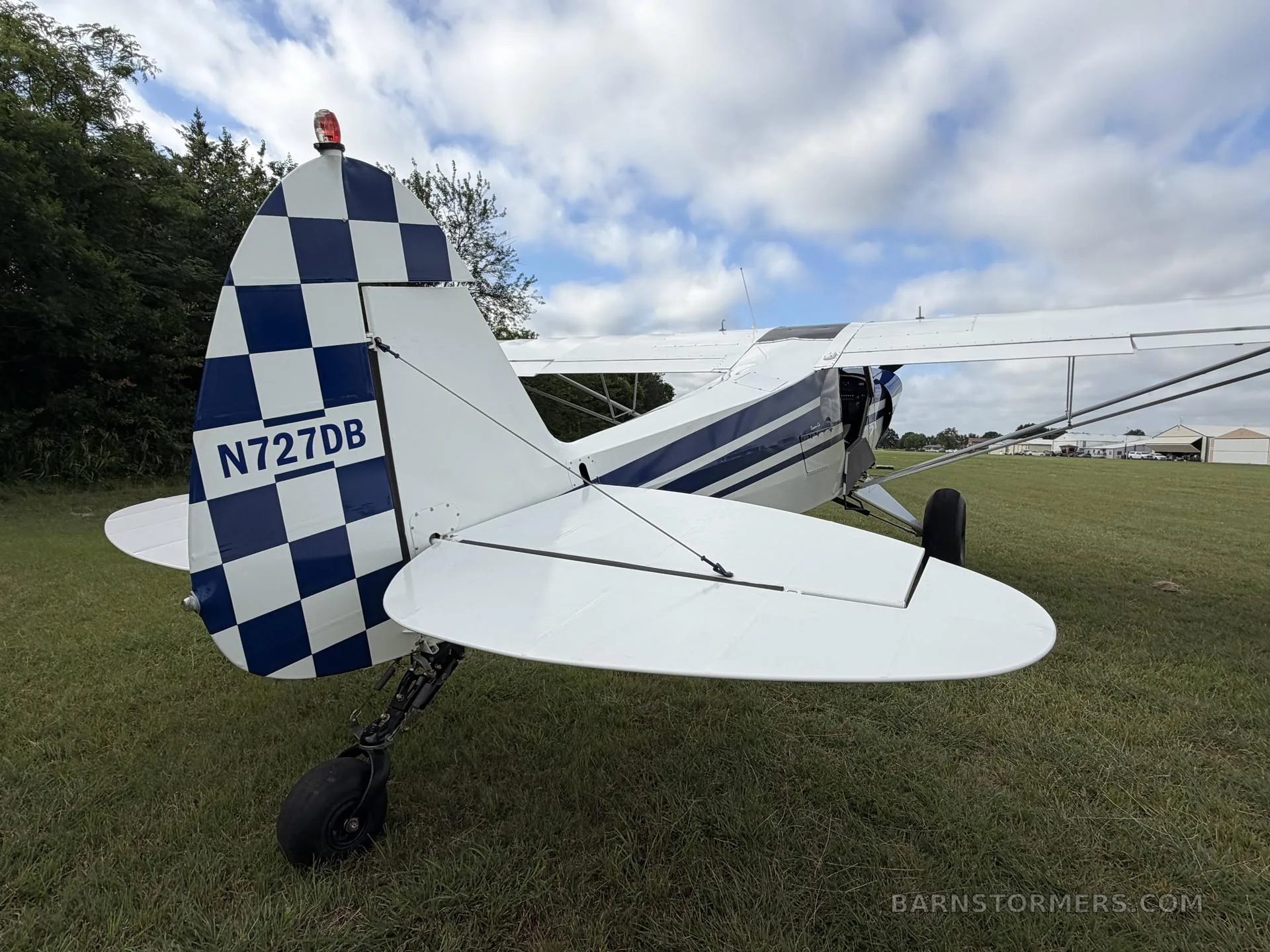 A rear view of a blue and white single-engine bush plane with a checkered tail, parked on a grassy field.