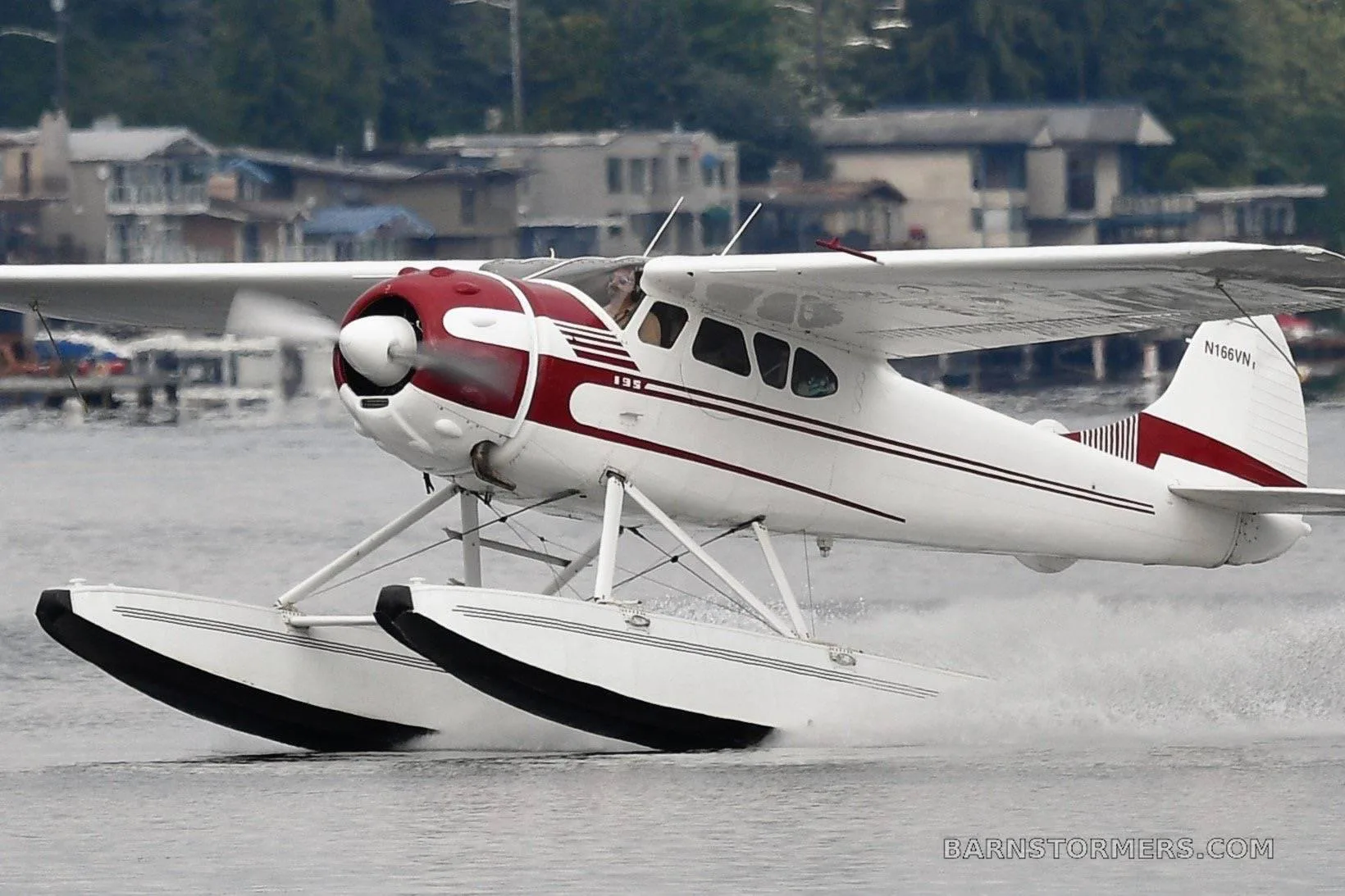 A white and red floatplane, likely a Cessna 180 or 185, taking off or landing on water with buildings in the background.